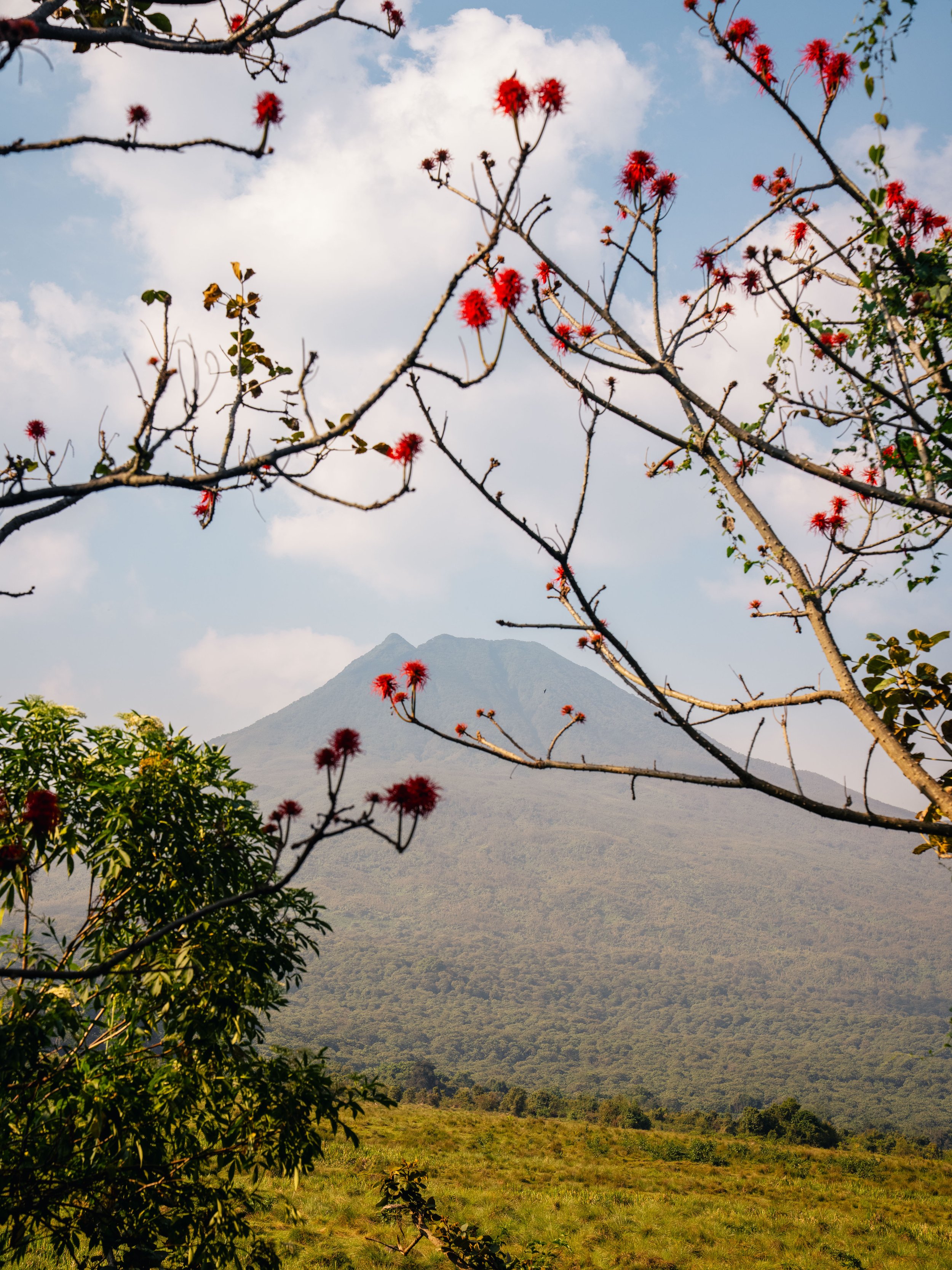 Singita-Kwitonda-JoeThomas-Rwanda-1.jpg