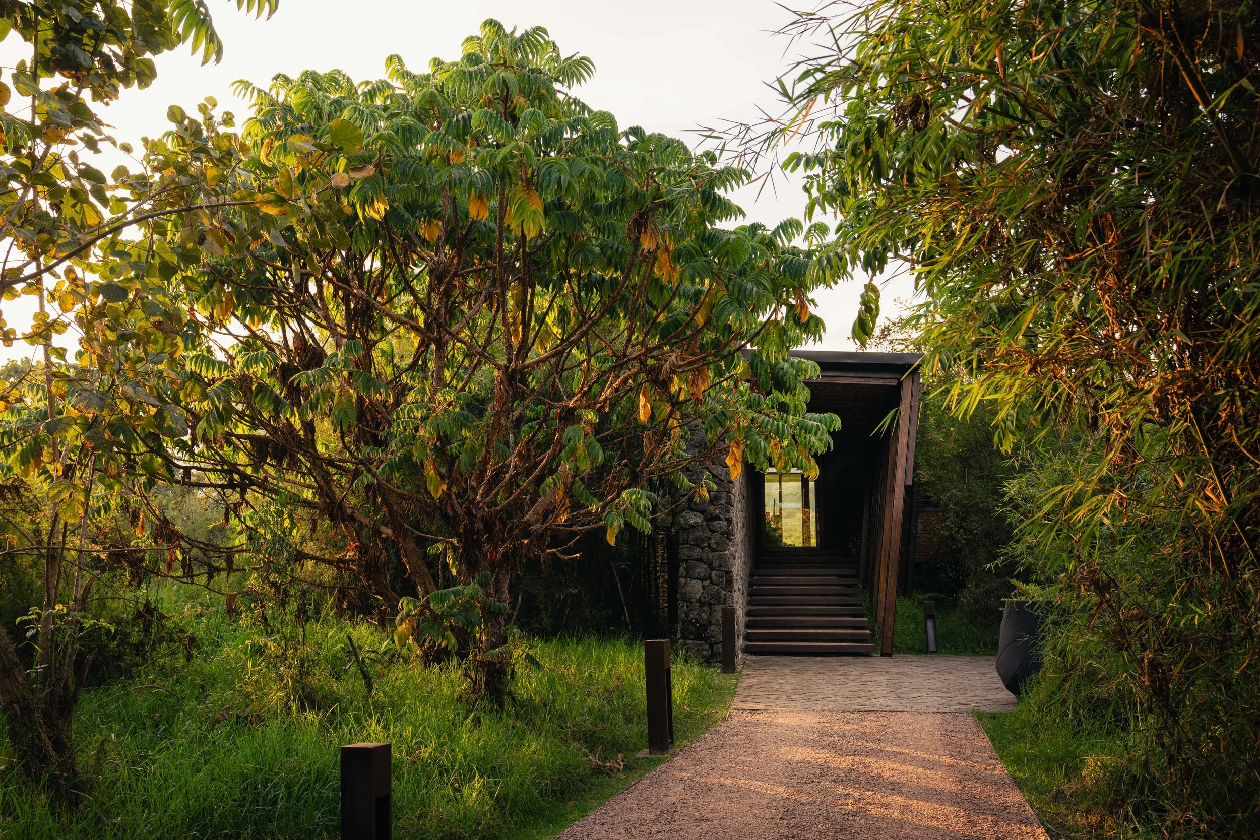 Singita-Kwitonda-JoeThomas-Rwanda-39.jpg