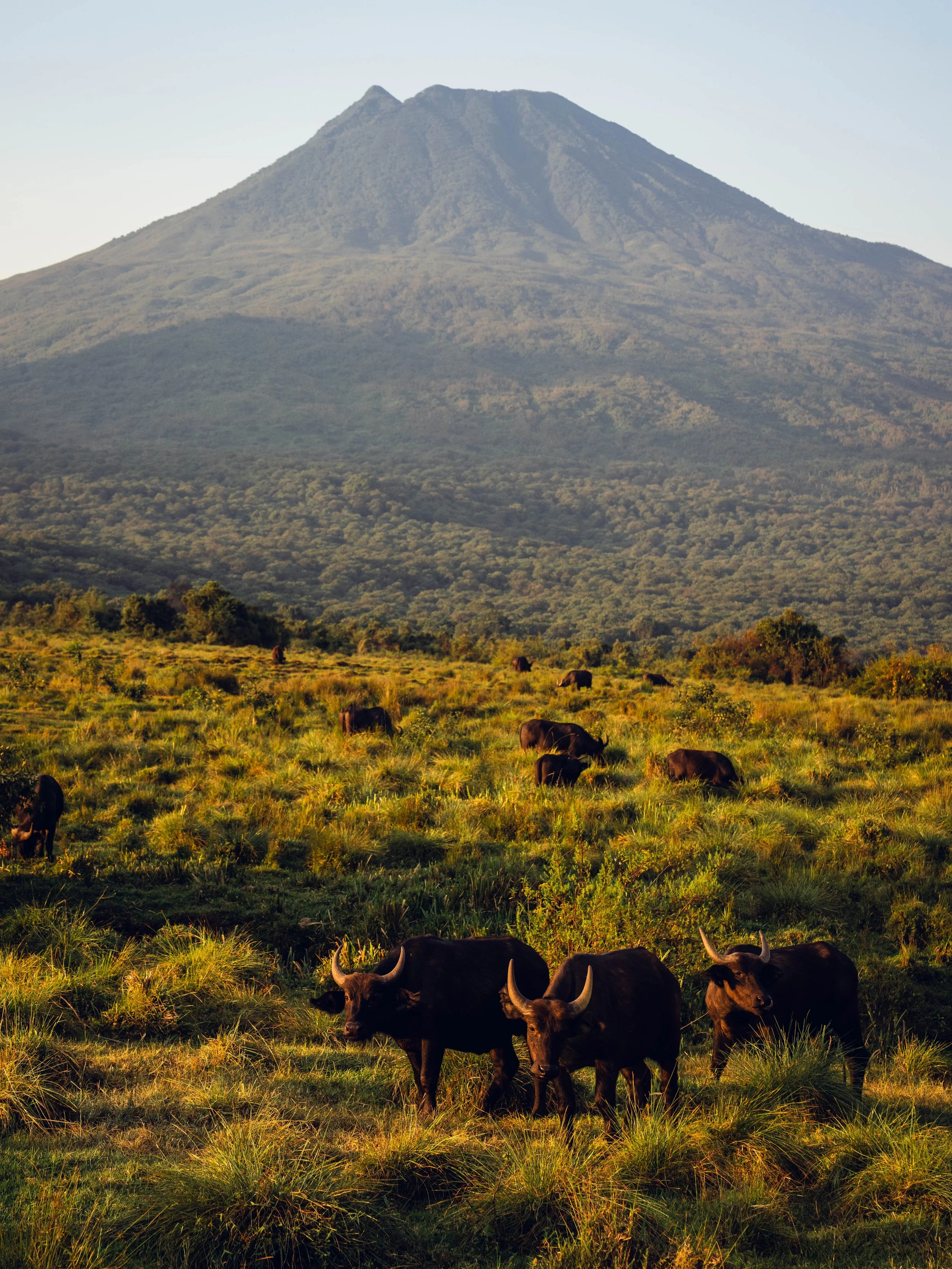 Singita-Kwitonda-JoeThomas-Rwanda-51.jpg