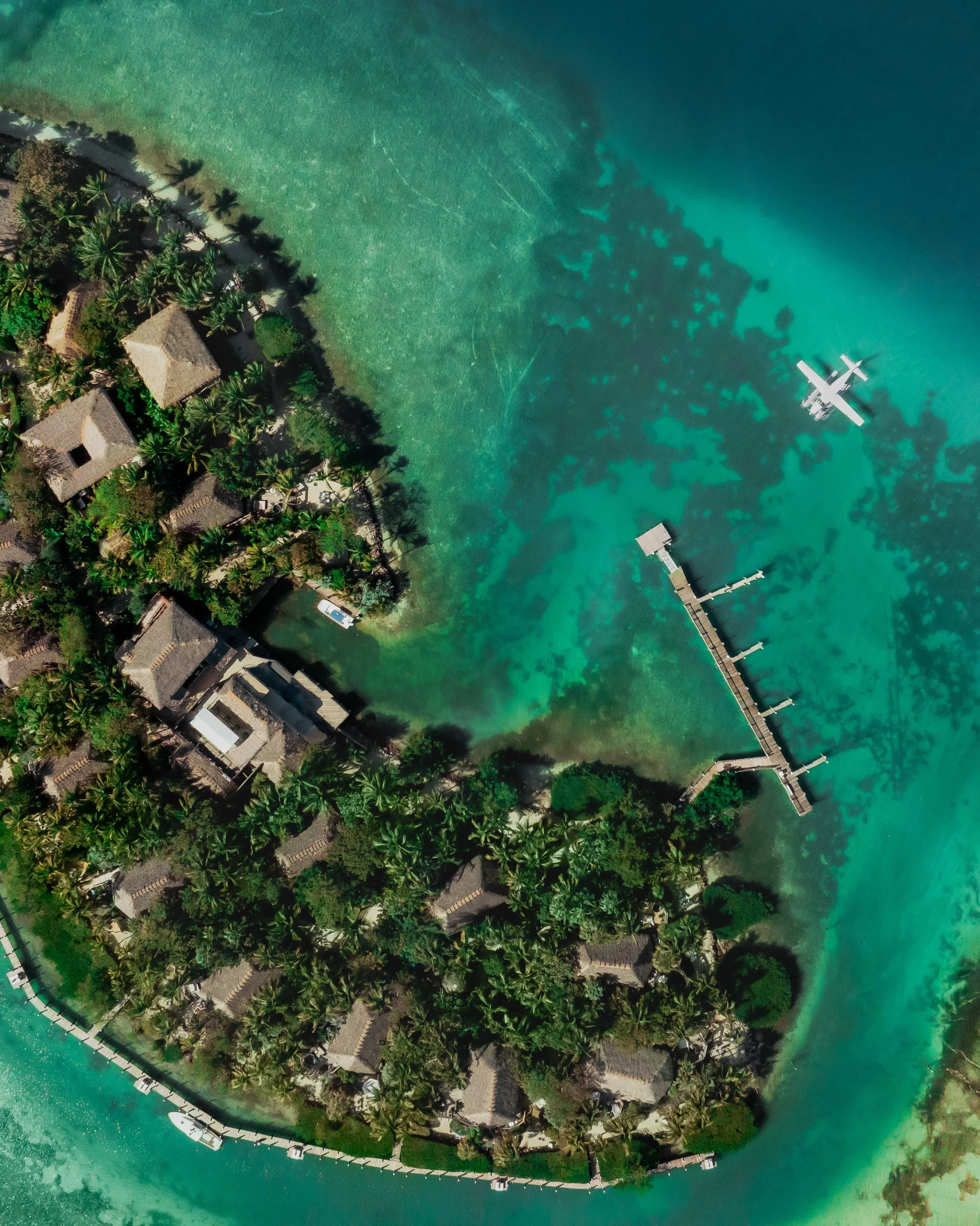 JoeThomas-Little_palm-Island.jpg