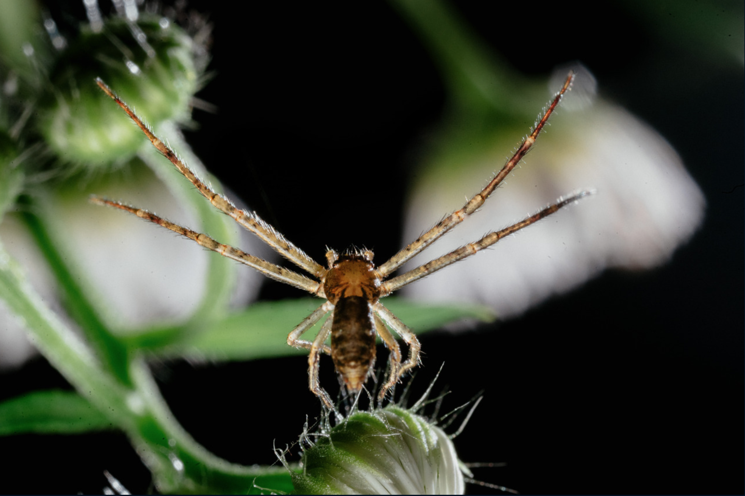 Screen Shot 2022-01-14 at 7.44.17 PM.png