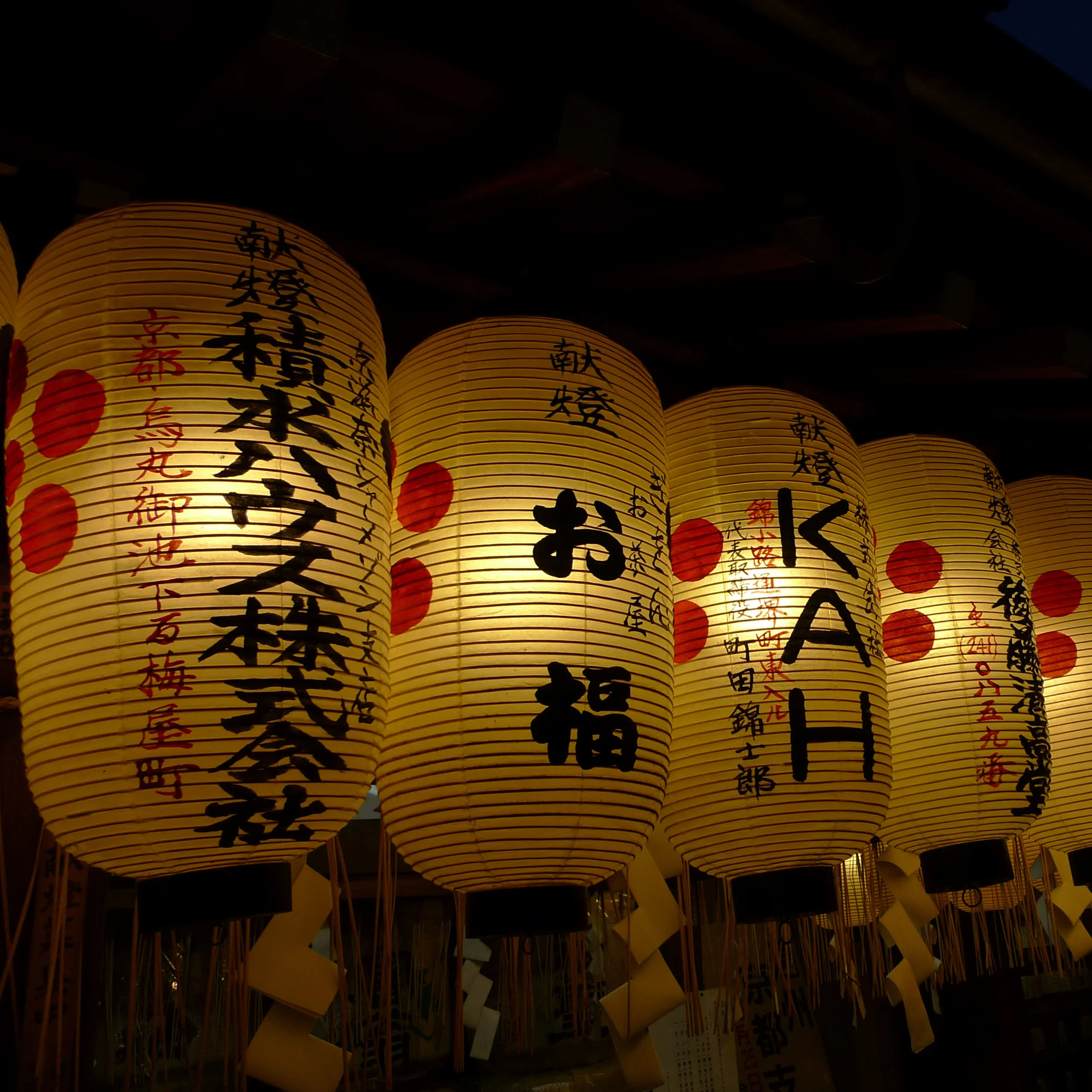 Thumbnail_L1020238.jpg