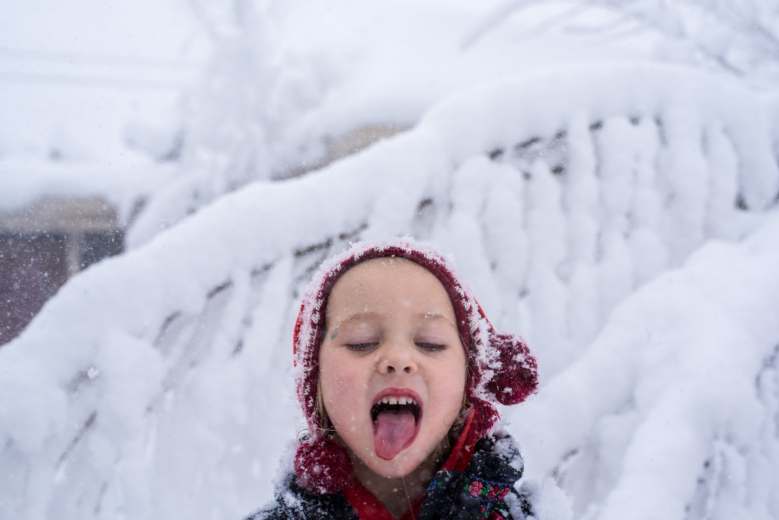Blog - The Pen & Camera - Gratitude Journal, Inspirational, Writing, Denver, Colorado, Snow Storm - Molly Rees Photo - Documentary Childhood Photography - portrait of girl eating snowflakes in winter by M. Menschel