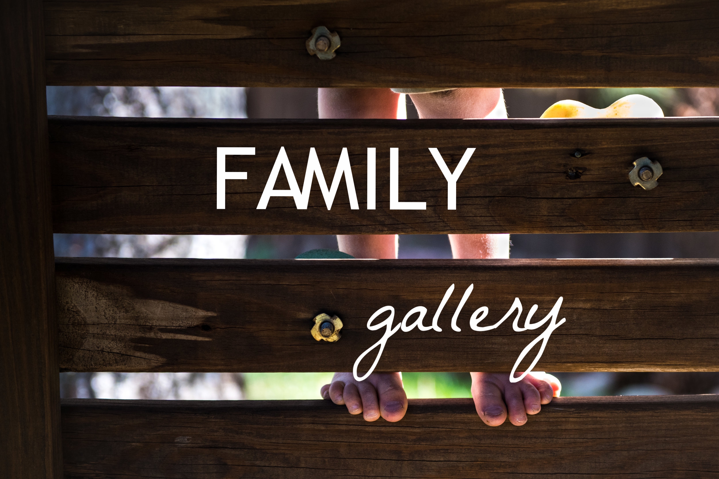 Family Gallery