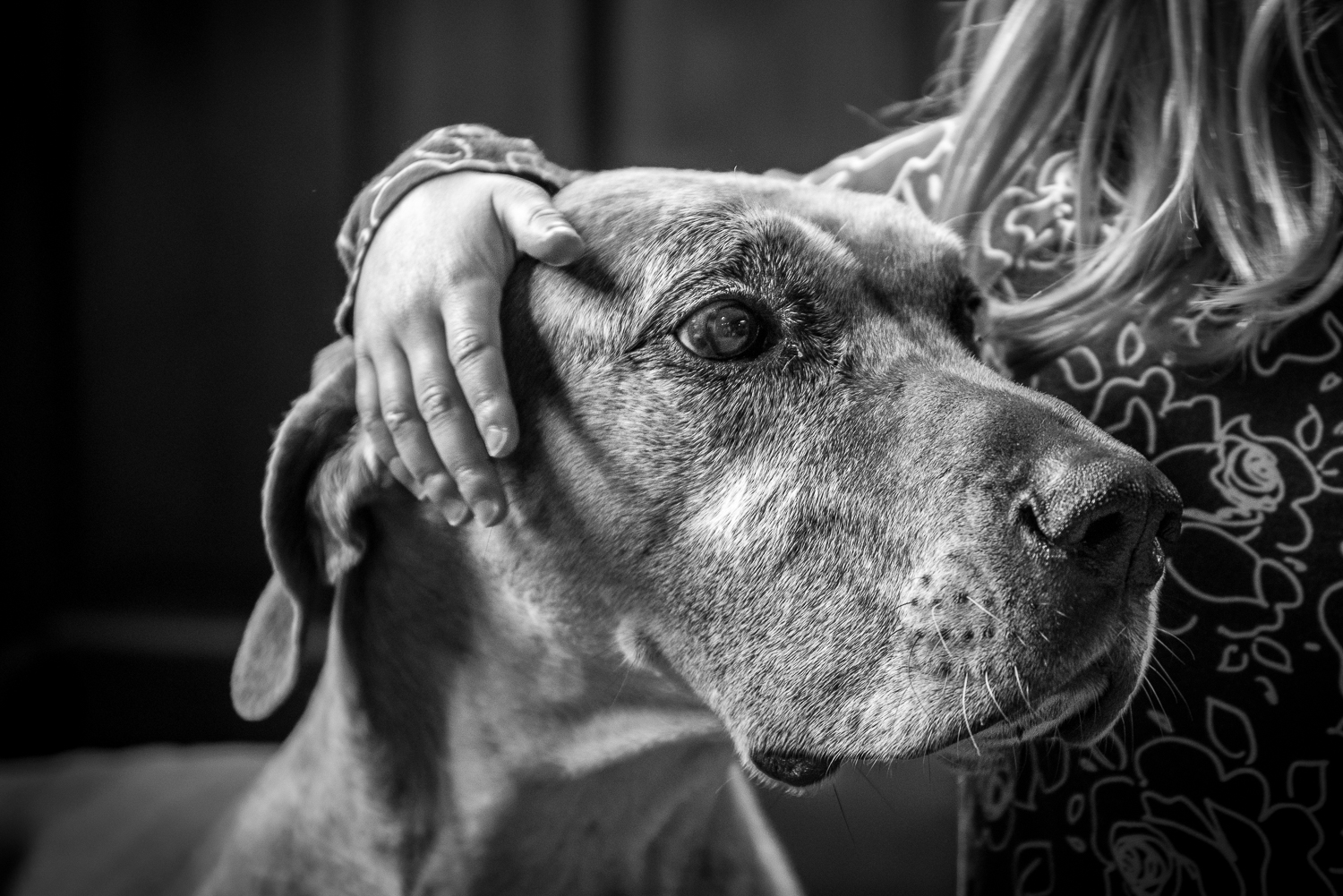 Colin's daughter with their dog