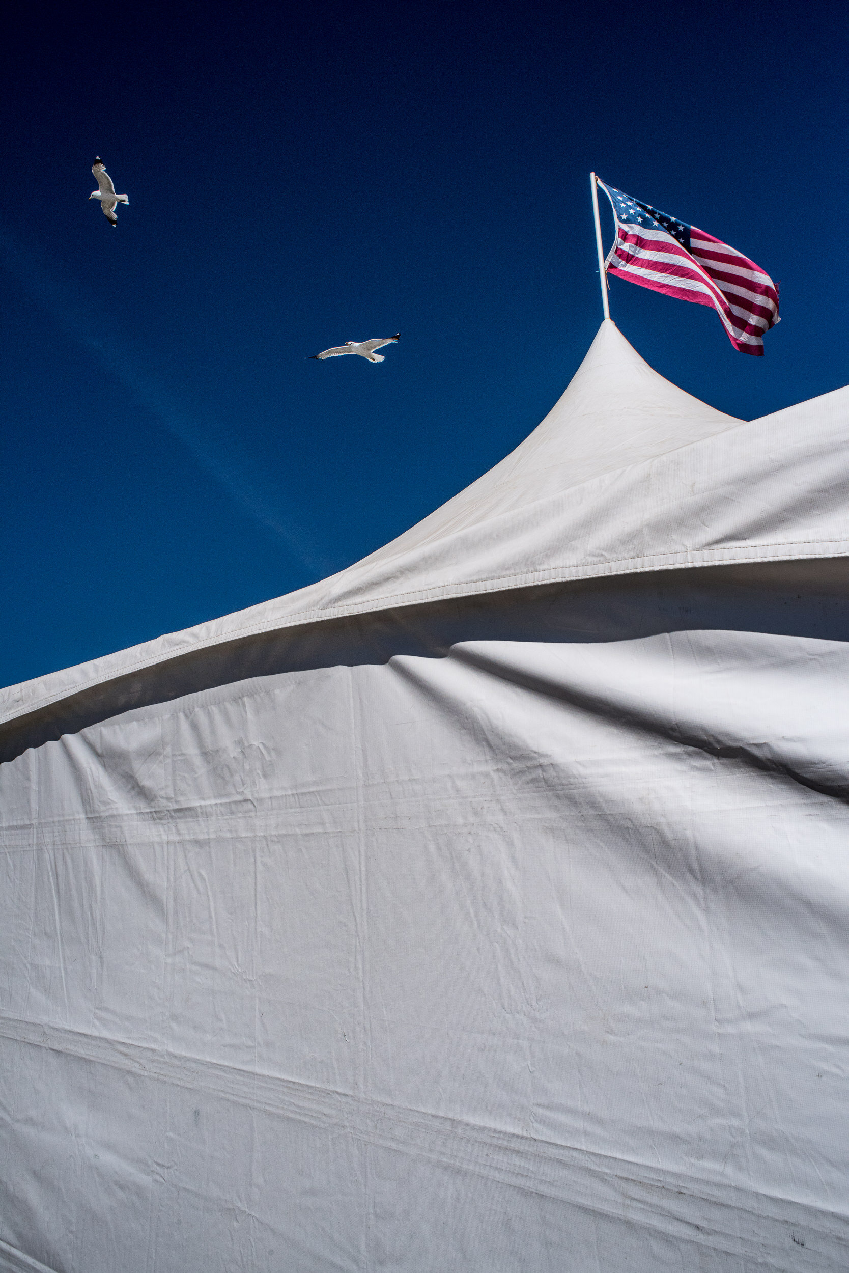 utah scottish festival highland games flag molly menschel WEB-1.jpg