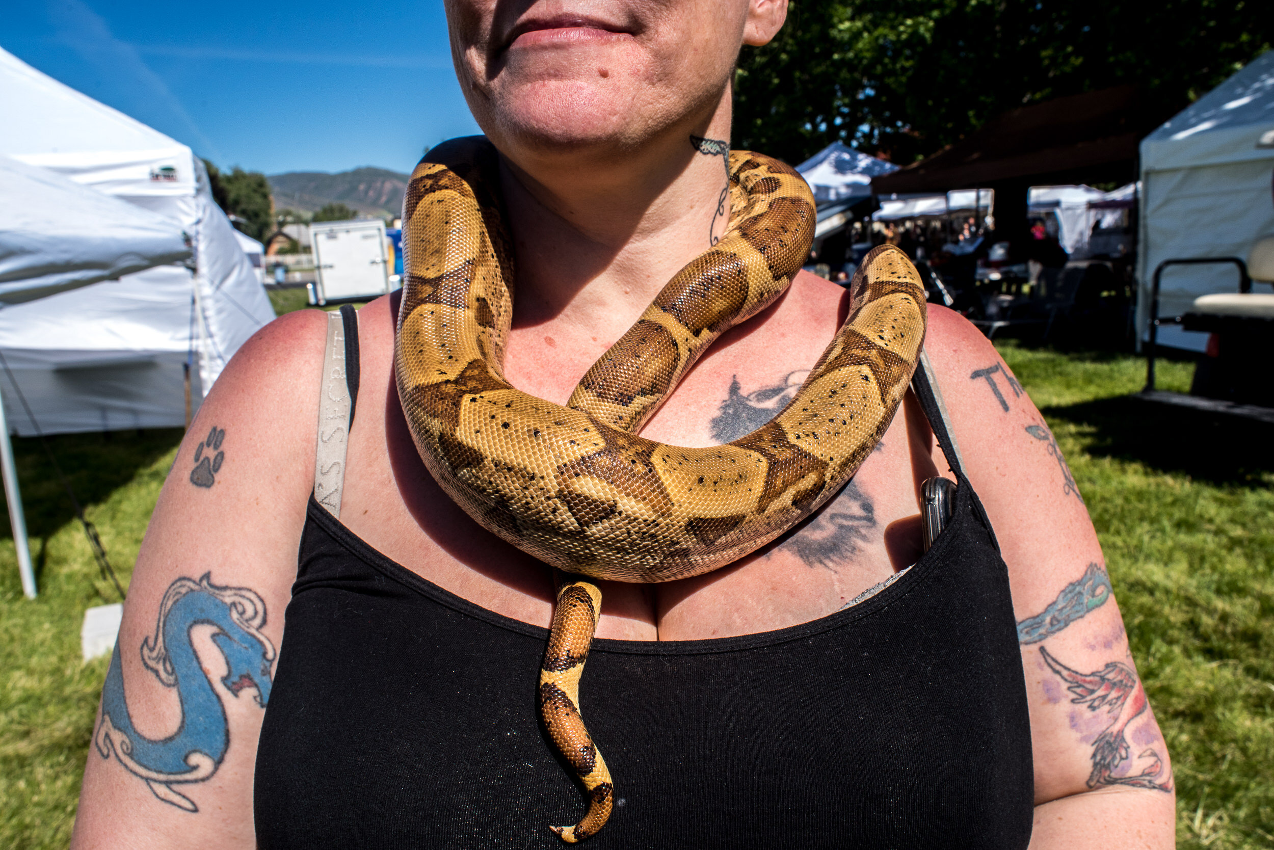 utah scottish festival highland games snake tattoo molly menschel WEB-1.jpg