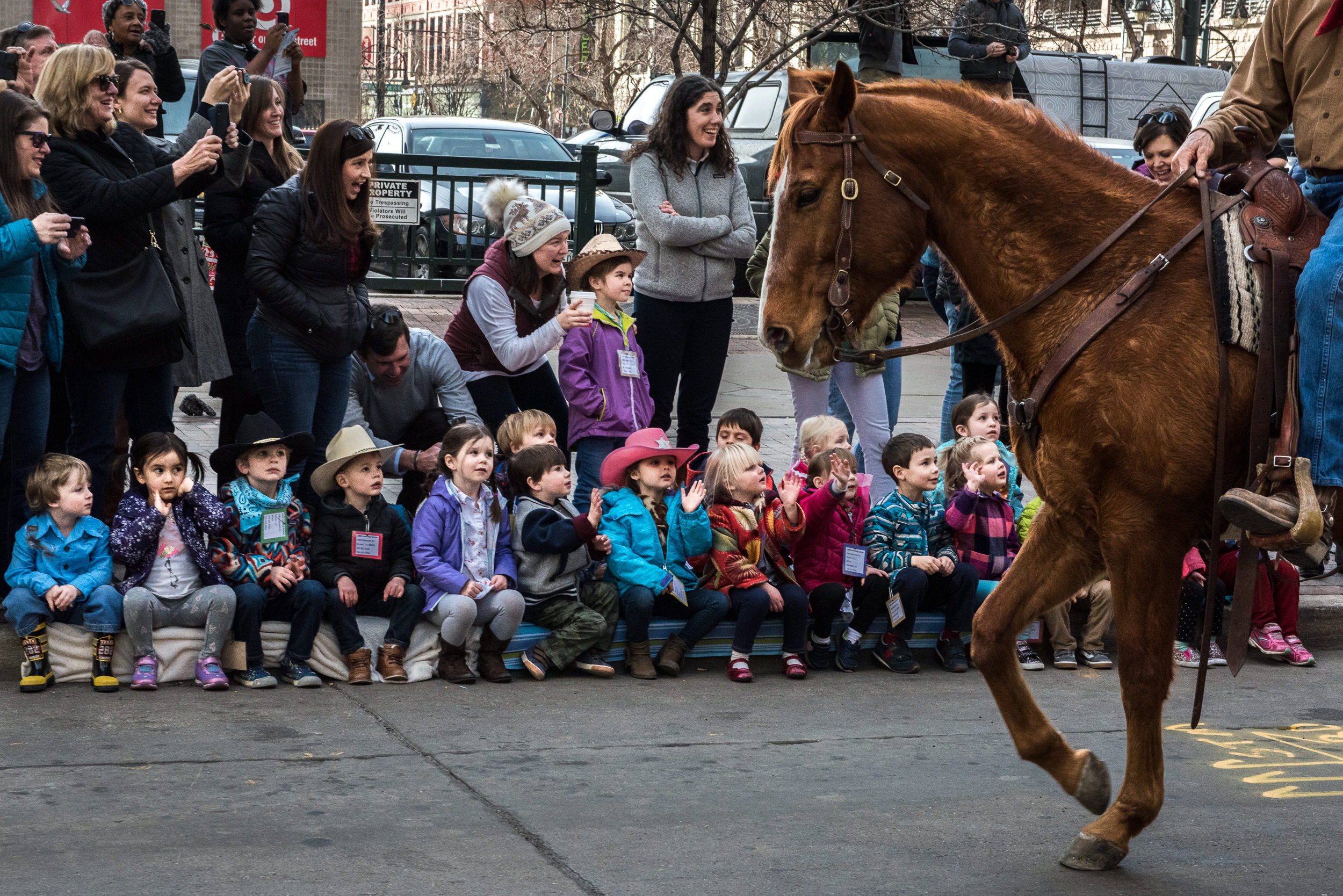 denver colorado national western stock show parade molly menschel WEB-10.jpg