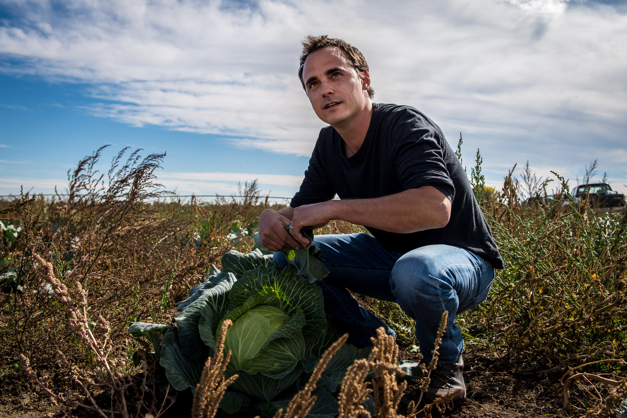 Red Wagon and Full Circle Farms colorado radish cabbage molly menschel WEB-9.jpg