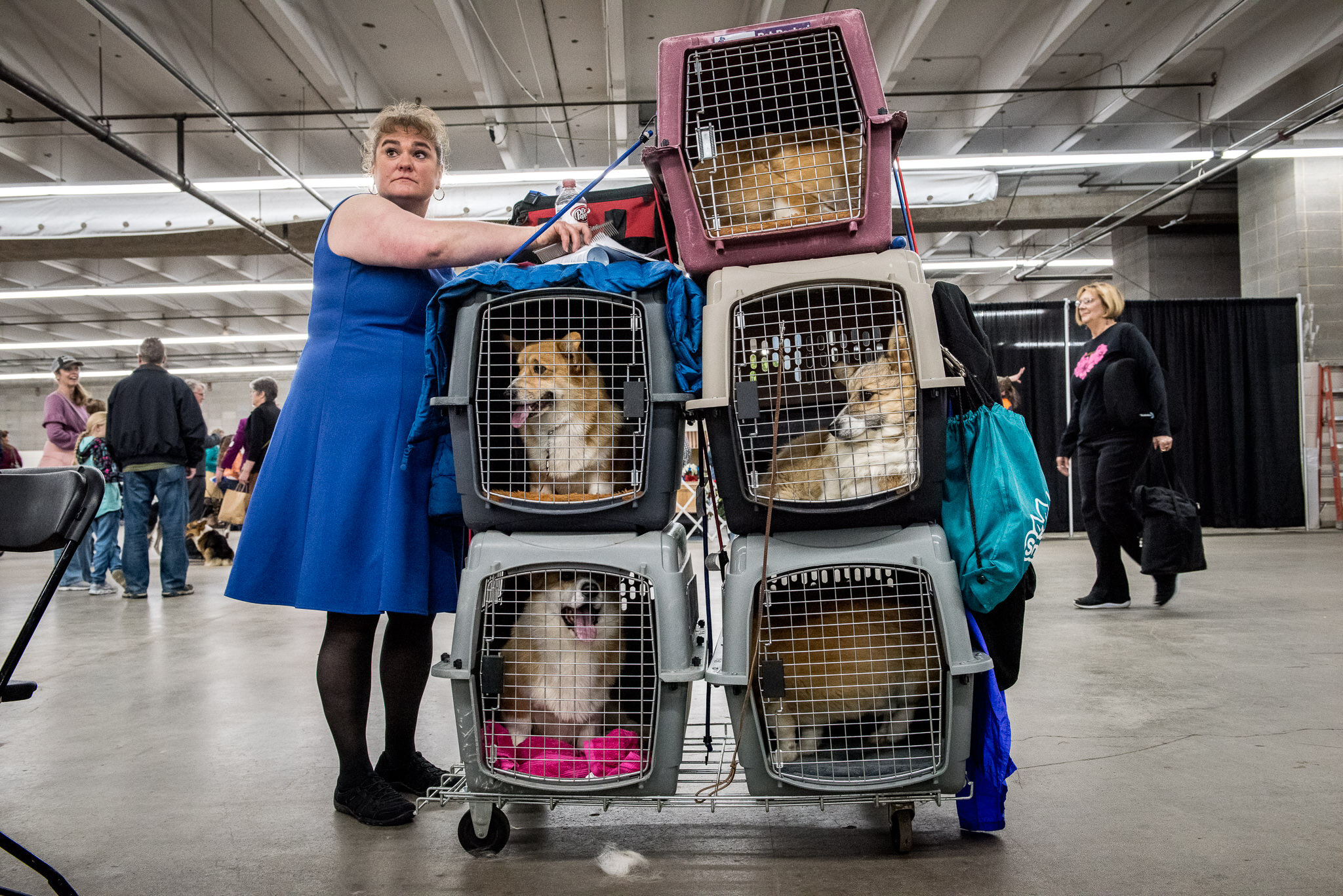 Colorado Kennel Club Dog Show Denver Molly Menschel WEB-8.jpg