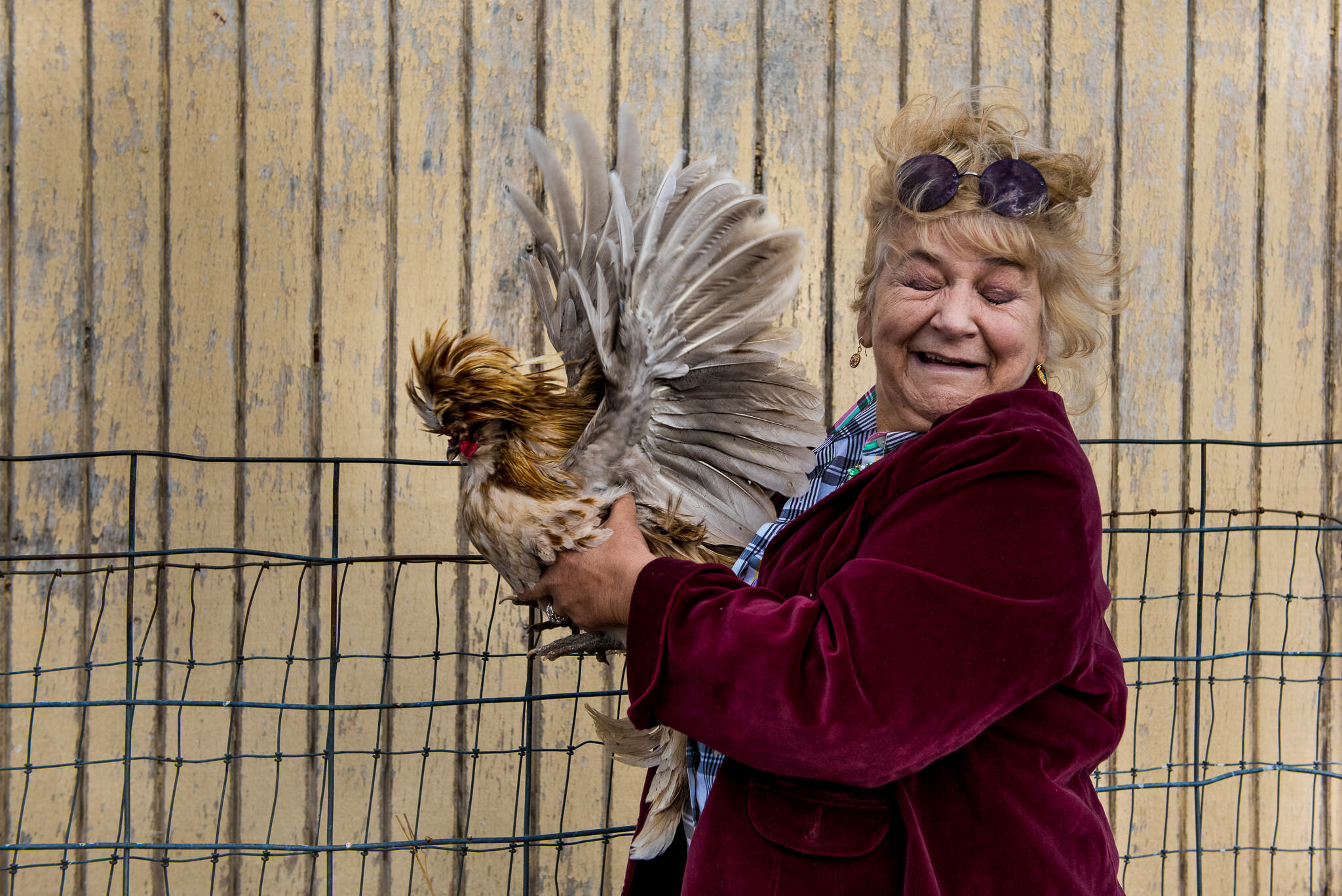 farm festival chicken portrait molly menschel WEB-1.jpg