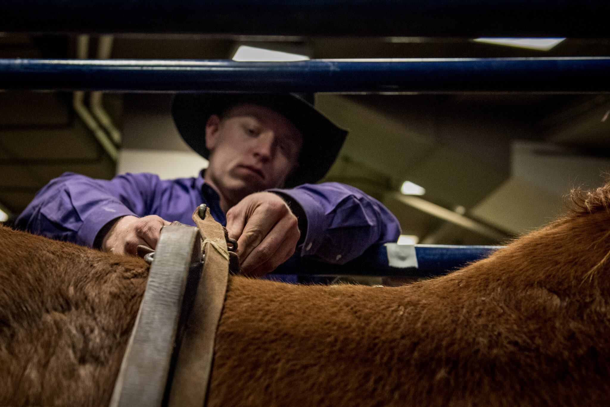 national western stock show denver colorado molly menschel WEB-22.jpg