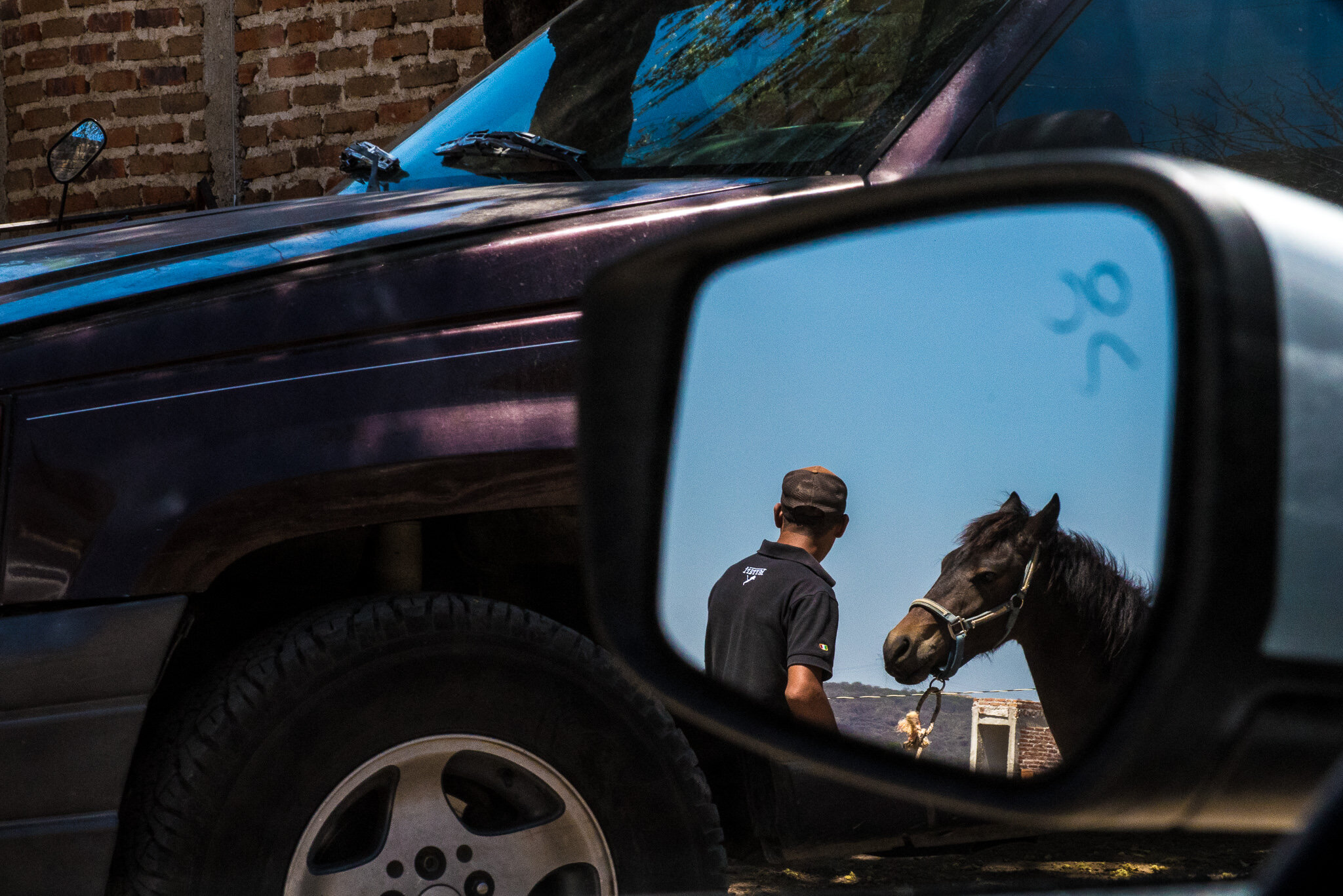 man with horse rearview mirror mexico molly menschel WEB-1.jpg