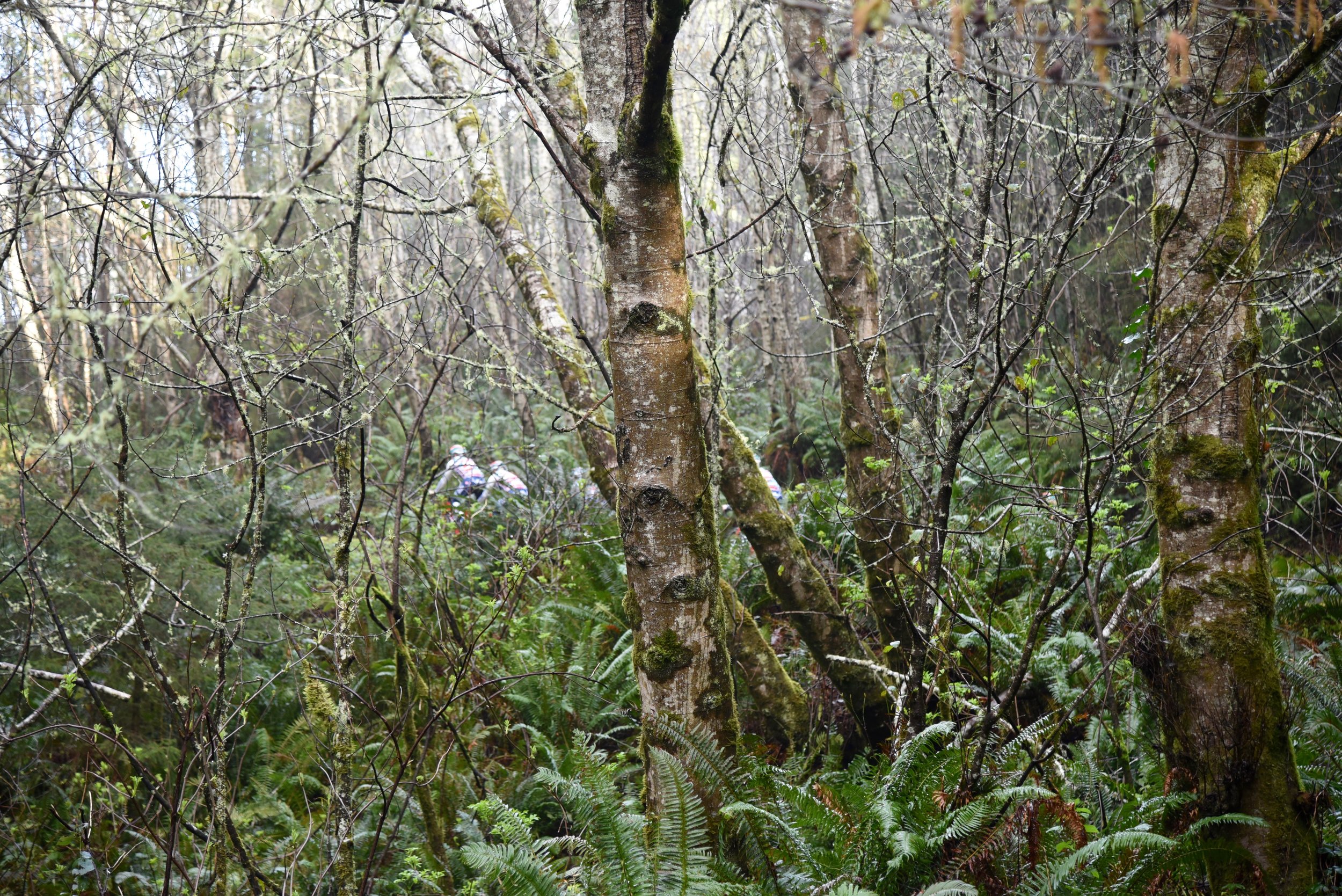 DSC_1585.jpg