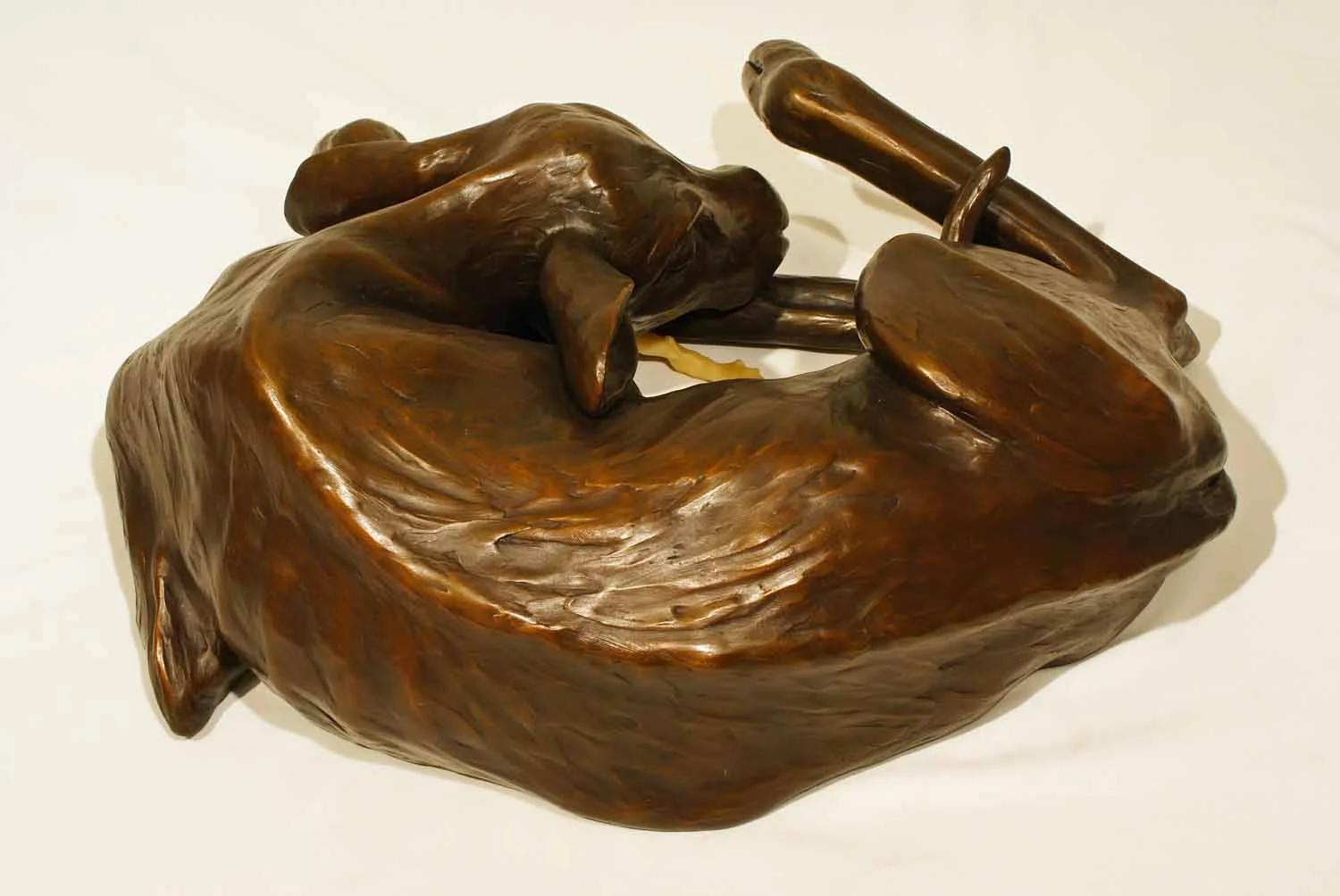 Newborn: Wade ©2014