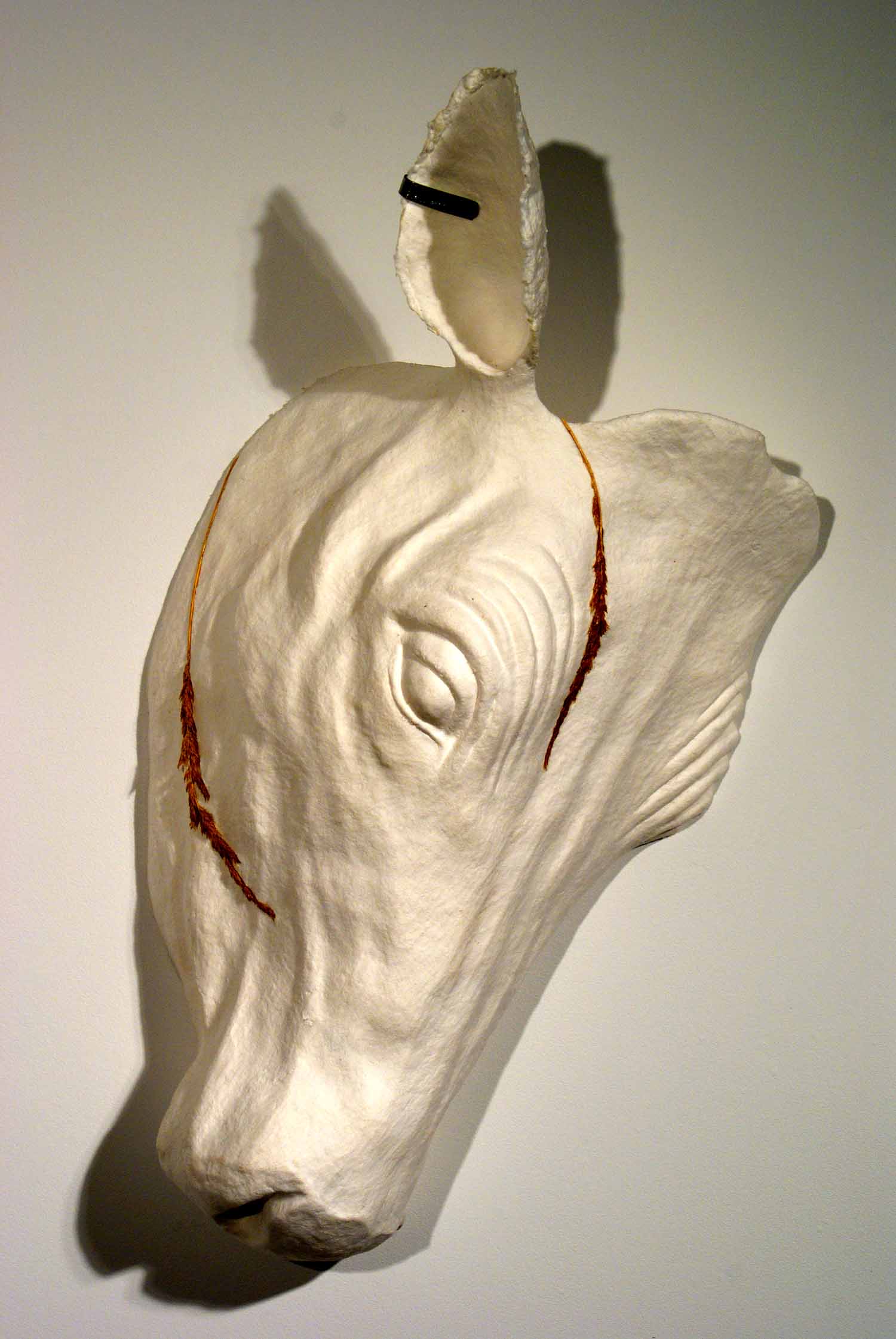 Blindsided: 10 ©2009