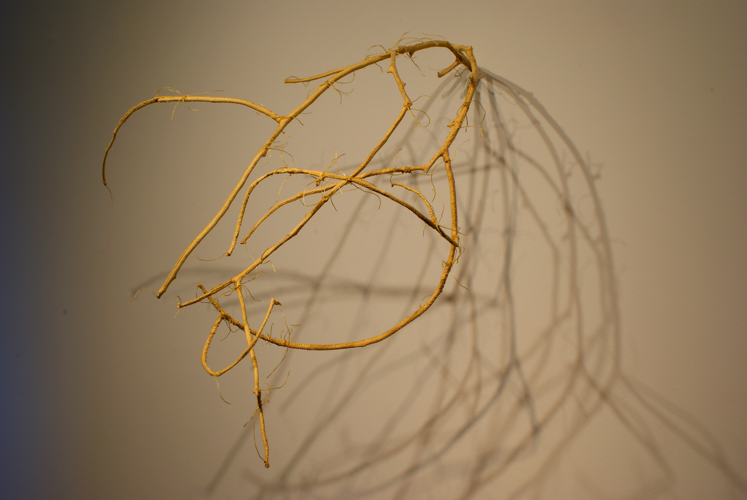 Sacrificial Limbs (Greta) ©2009