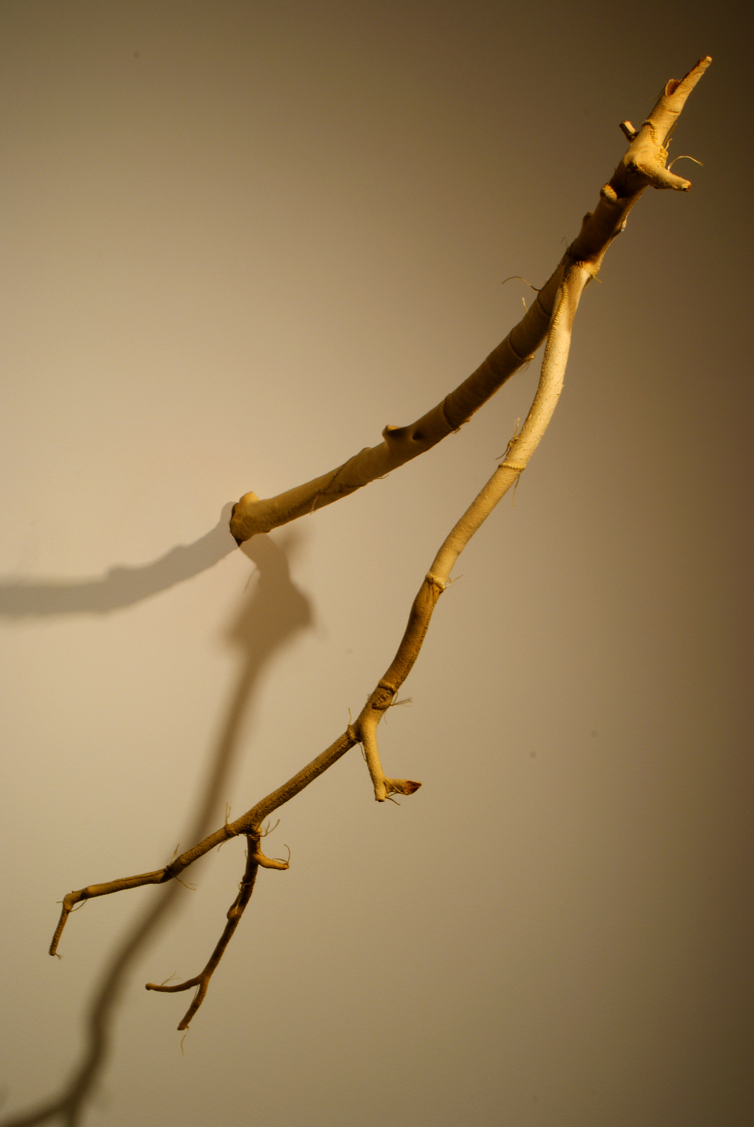 Sacrificial Limbs (Edward) ©2007