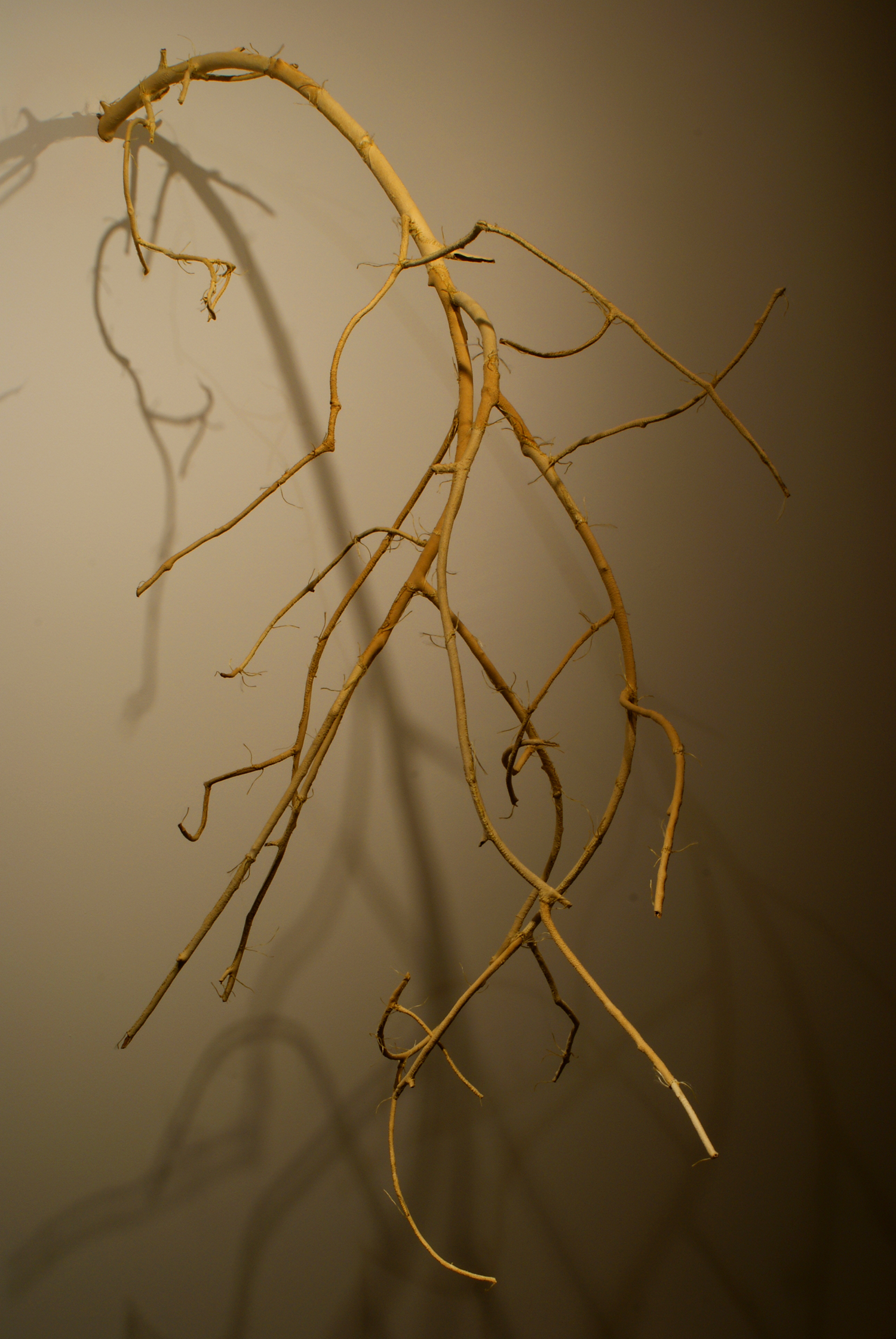 Sacrificial Limbs (Miriam) ©2008