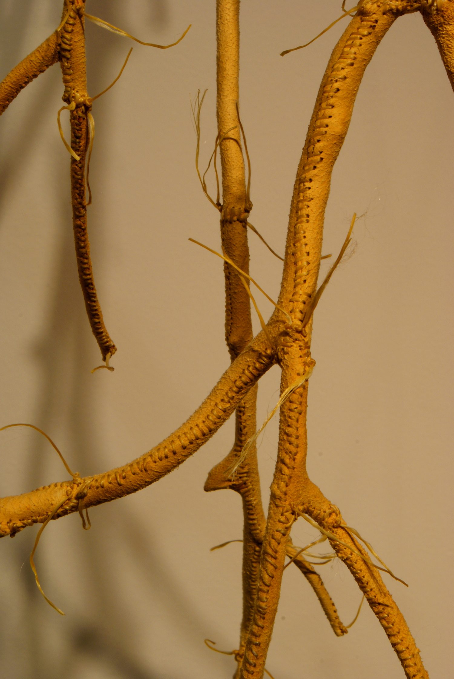 Sacrificial Limbs ©2007-2009