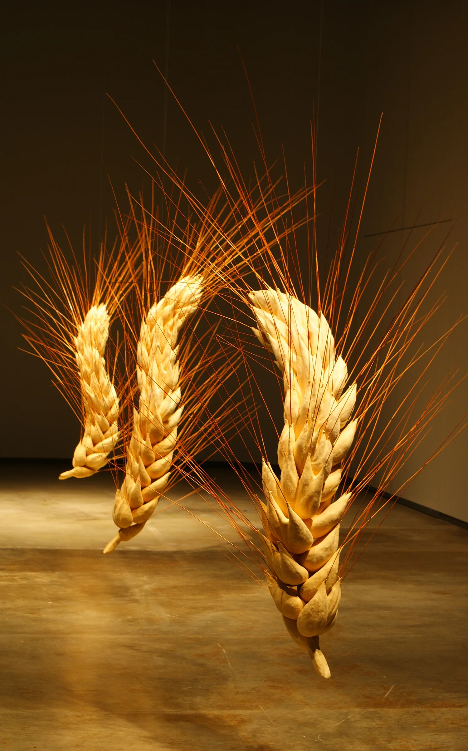 Wheat ©2007