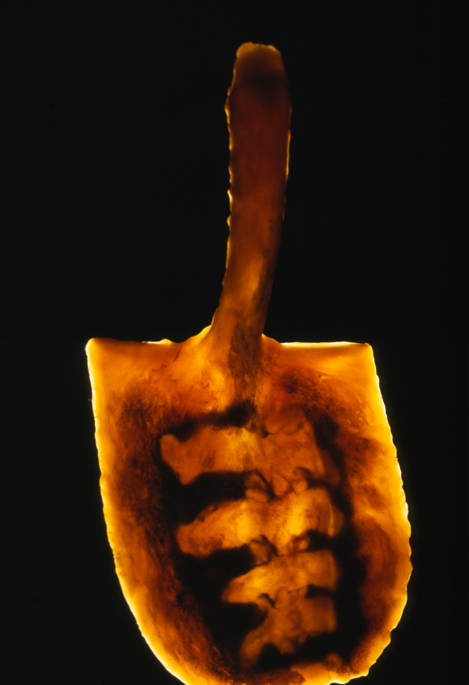 Shovel 19 ©2000