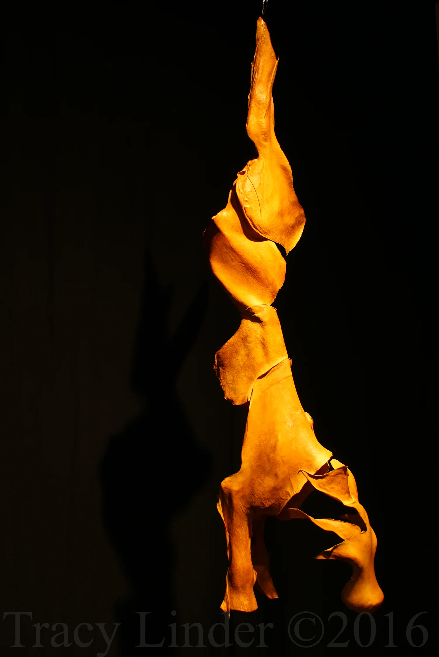 Pound of Flesh: Hanging ©2016