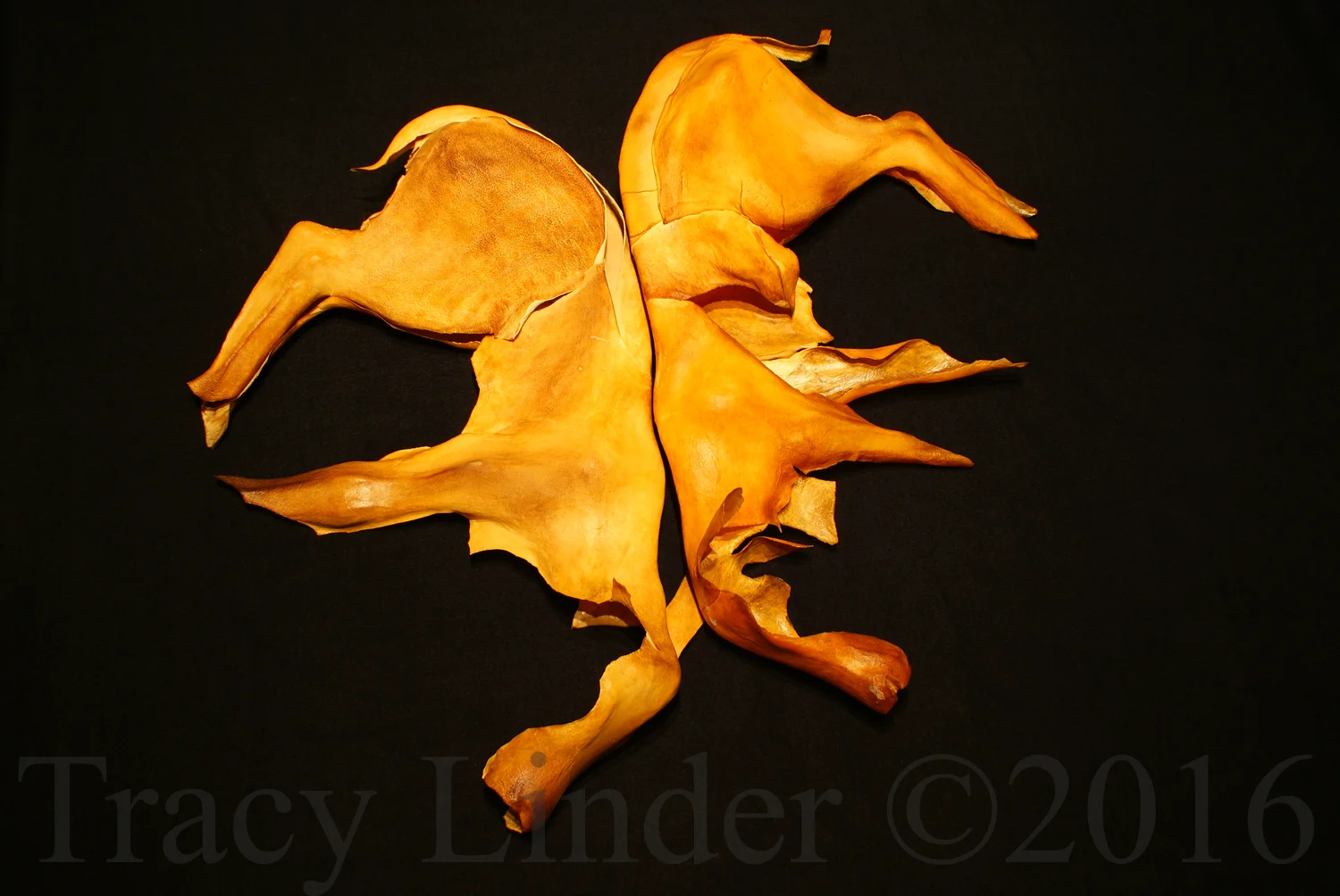 Pound of Flesh: Twins ©2016