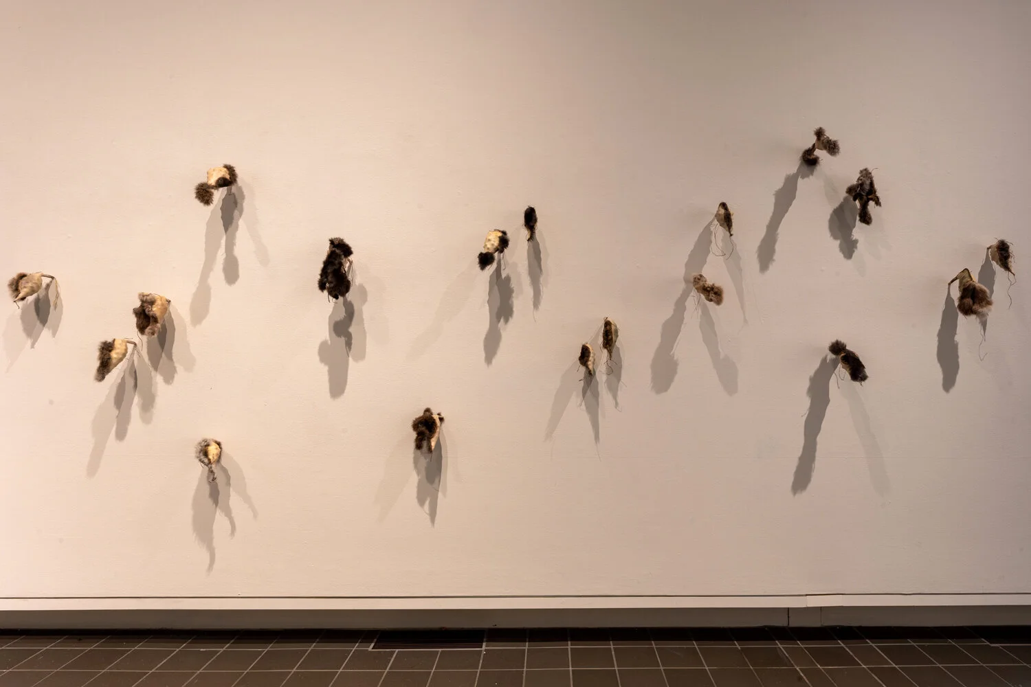 The Sowers: Seed Pods ©2013-2019