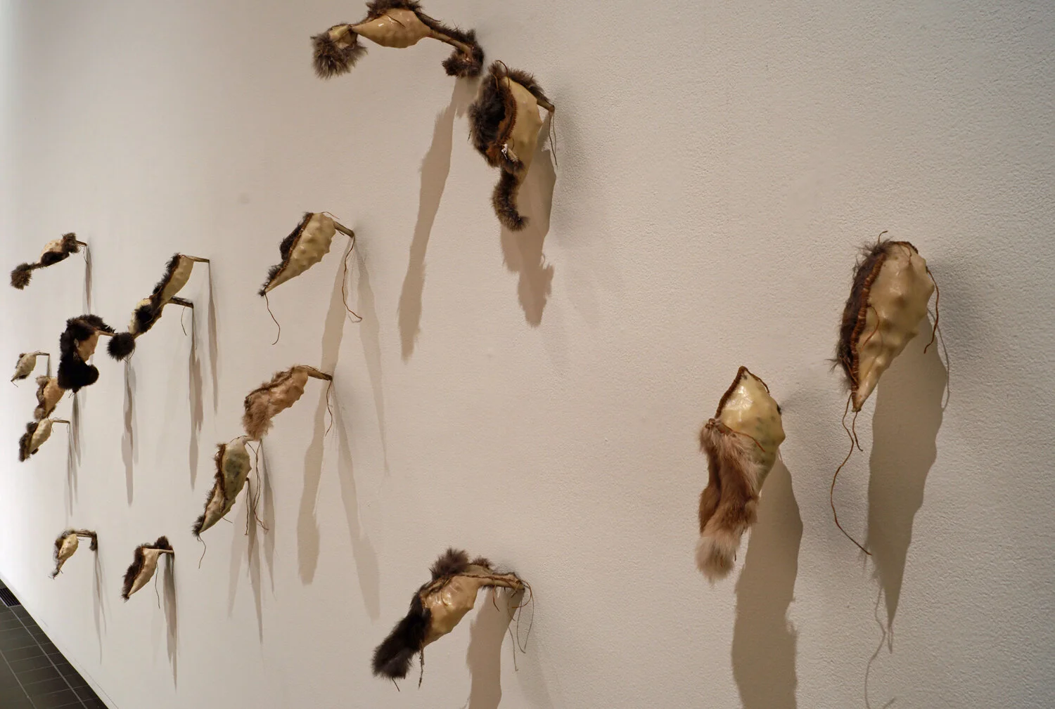 The Sowers: Seed Pods ©2013-2019