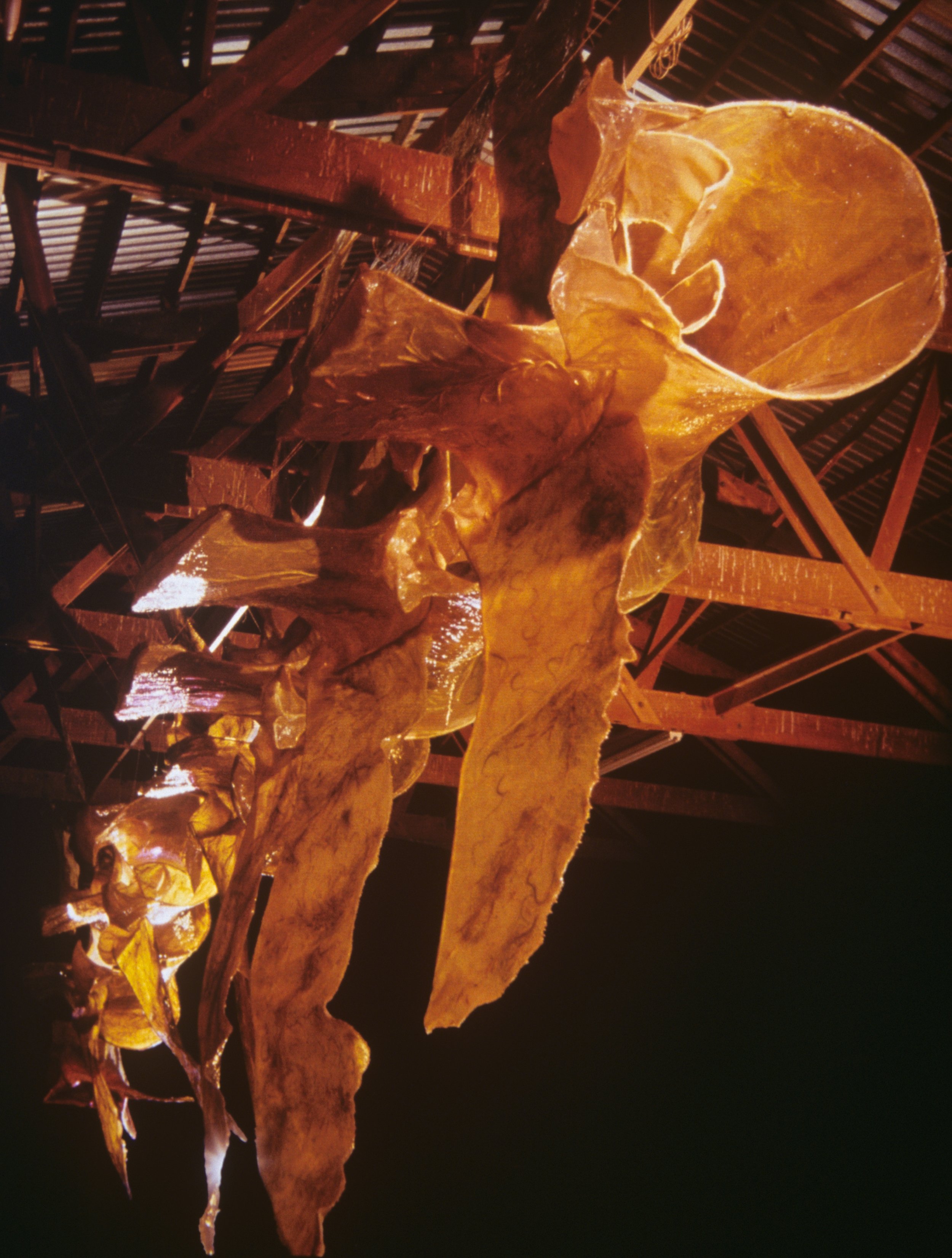 Forces of Labor: Backbone ©2000-2004