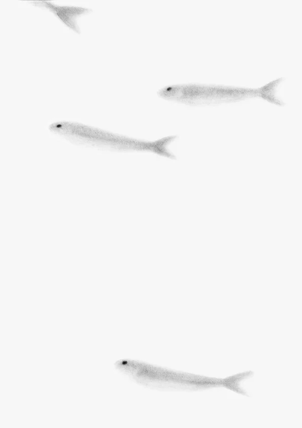 WEB.sardine3.jpg