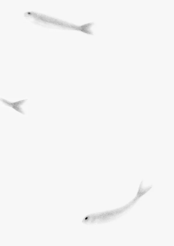 WEB.sardine4.jpg