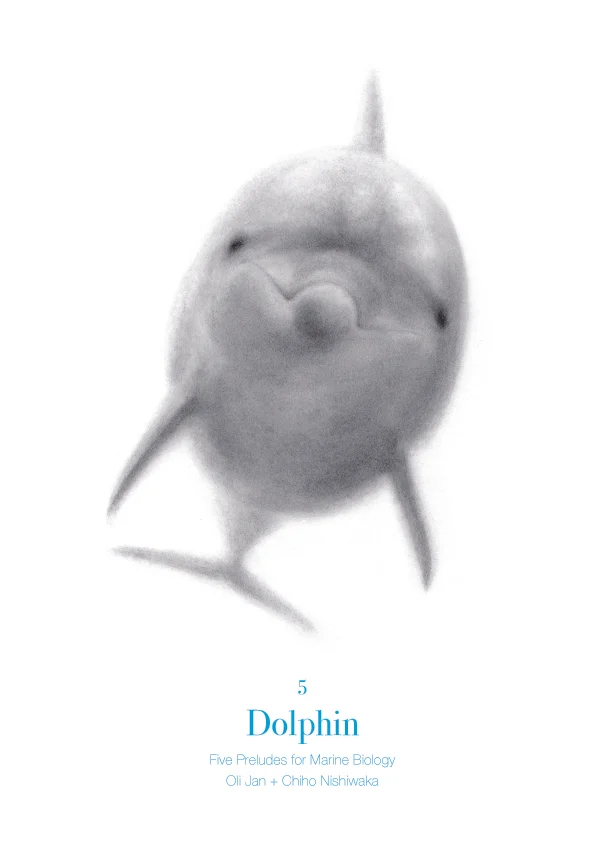 web_5_dolphin.jpg