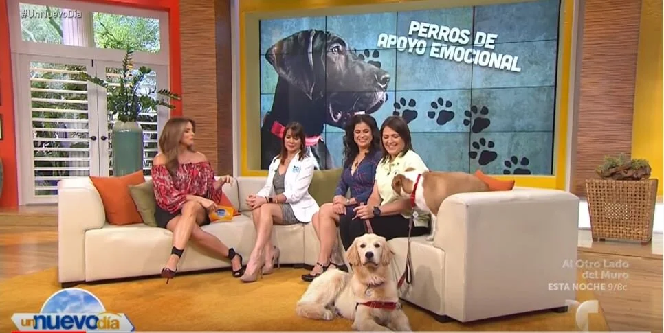 ¡El mejor amigo del hombre y el apoyo emocional perfecto! (Video)