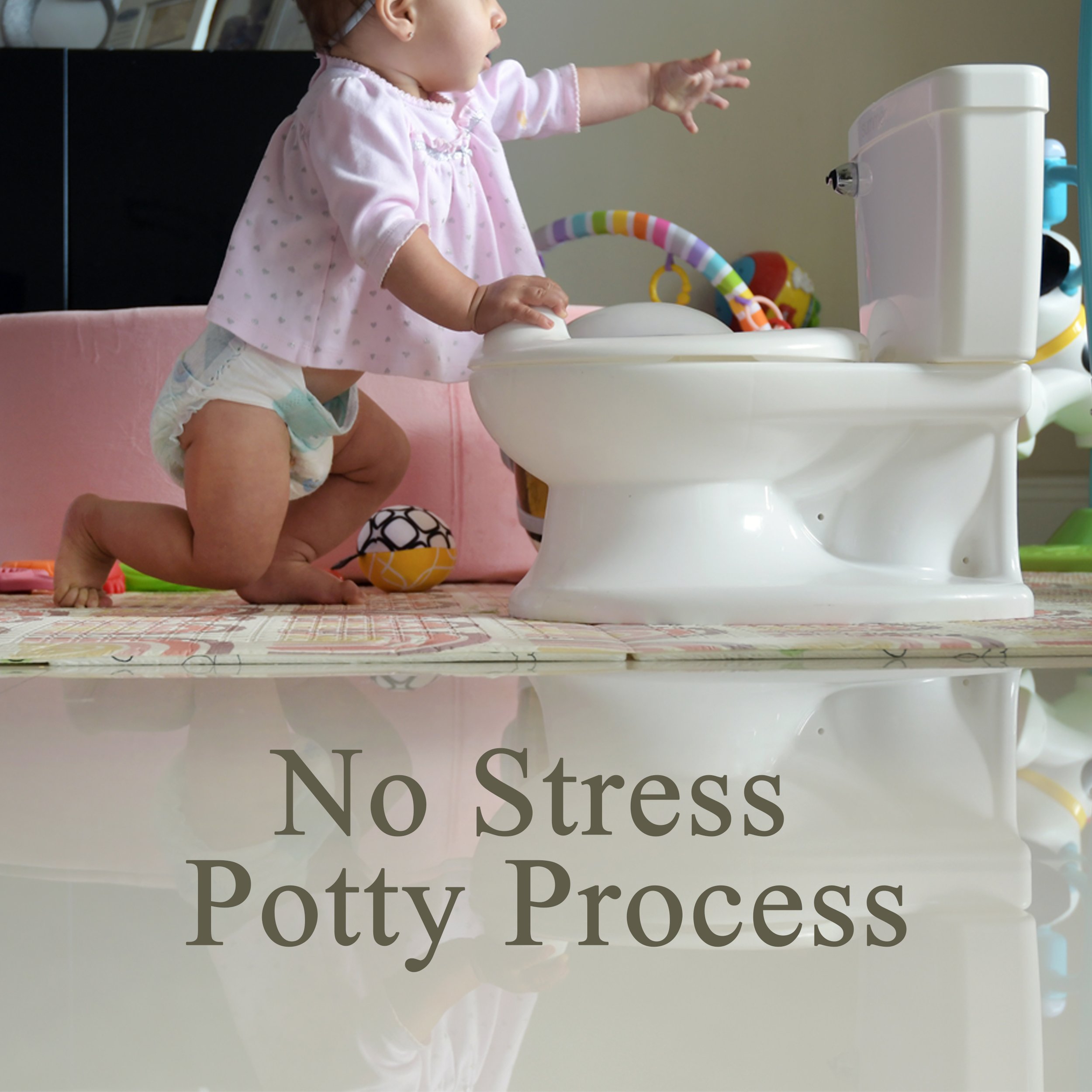 SPA_PottyProcess_Course_Square_2592x2592_grey.jpg