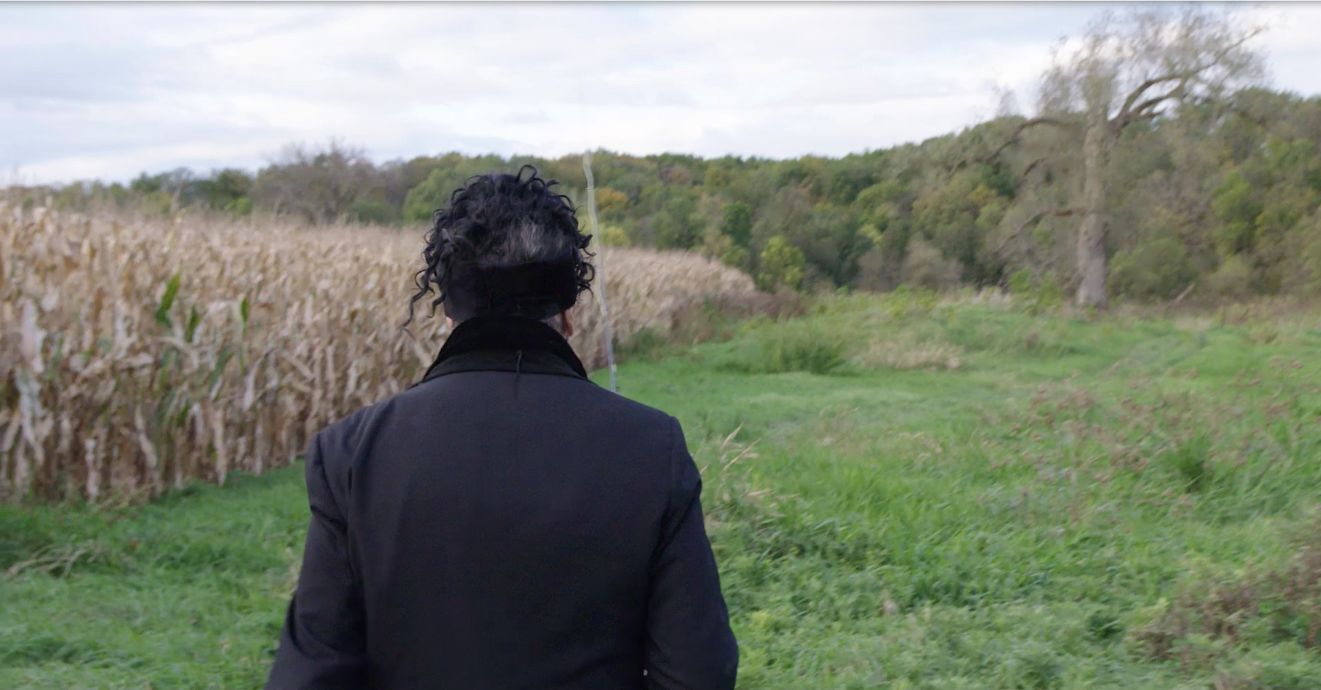 Screen Shot 2017-10-23 at 12.46.57 PM.png