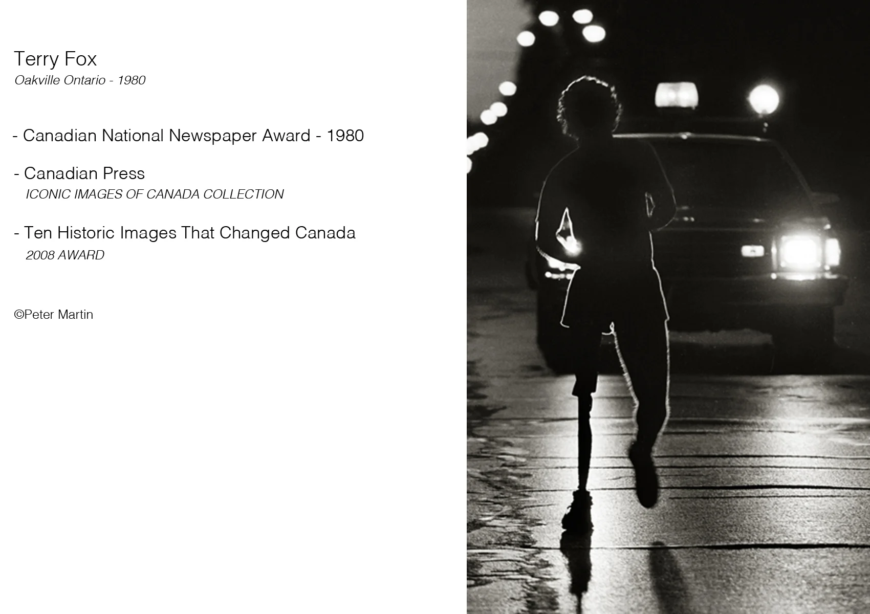 TERRY FOX - Stephen Bulger Gallery (Toronto) ___________________________________________________________