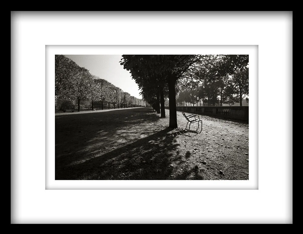 Paris-Chair-Squarespace.jpg