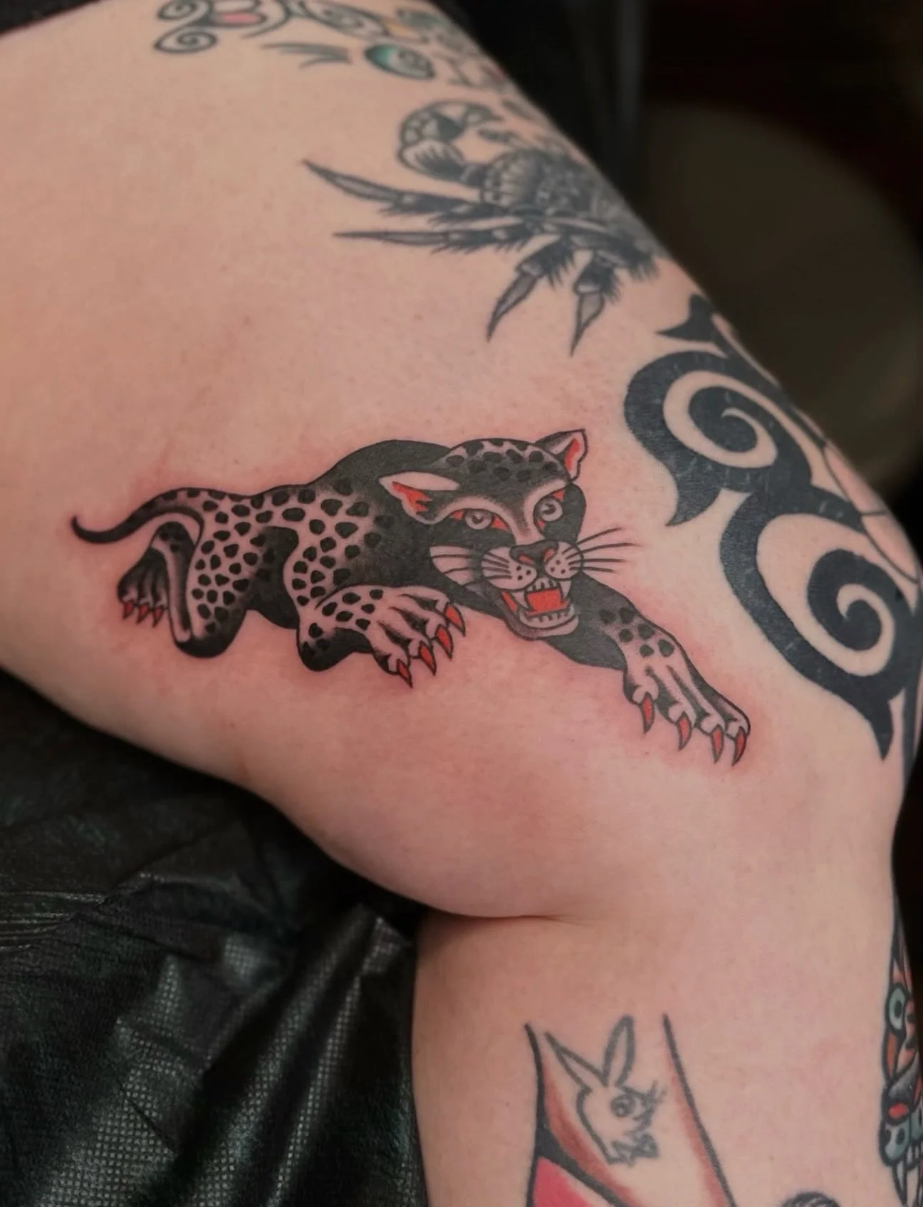 Big cat by @old_kid from his flash