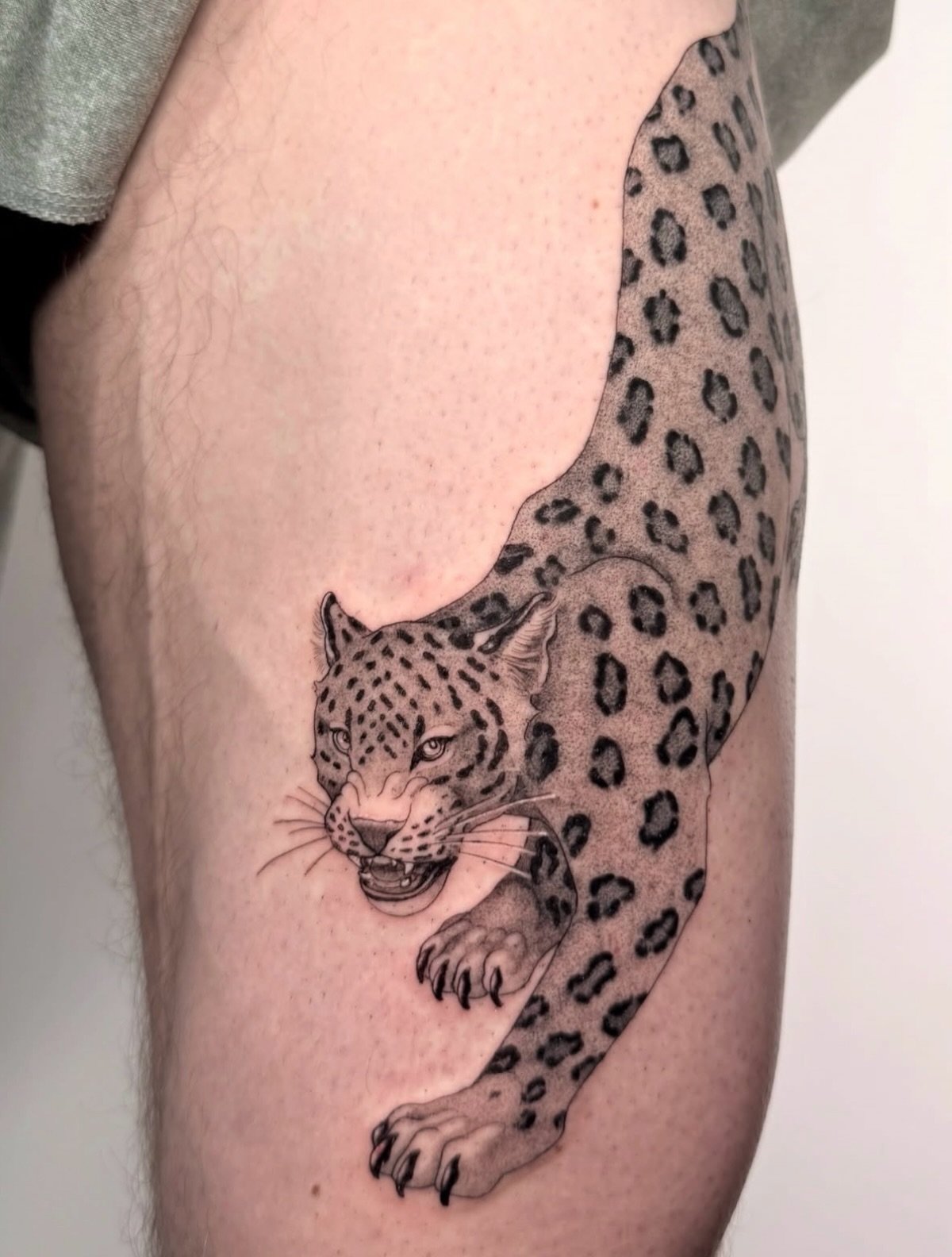 Big cat by @catthroat