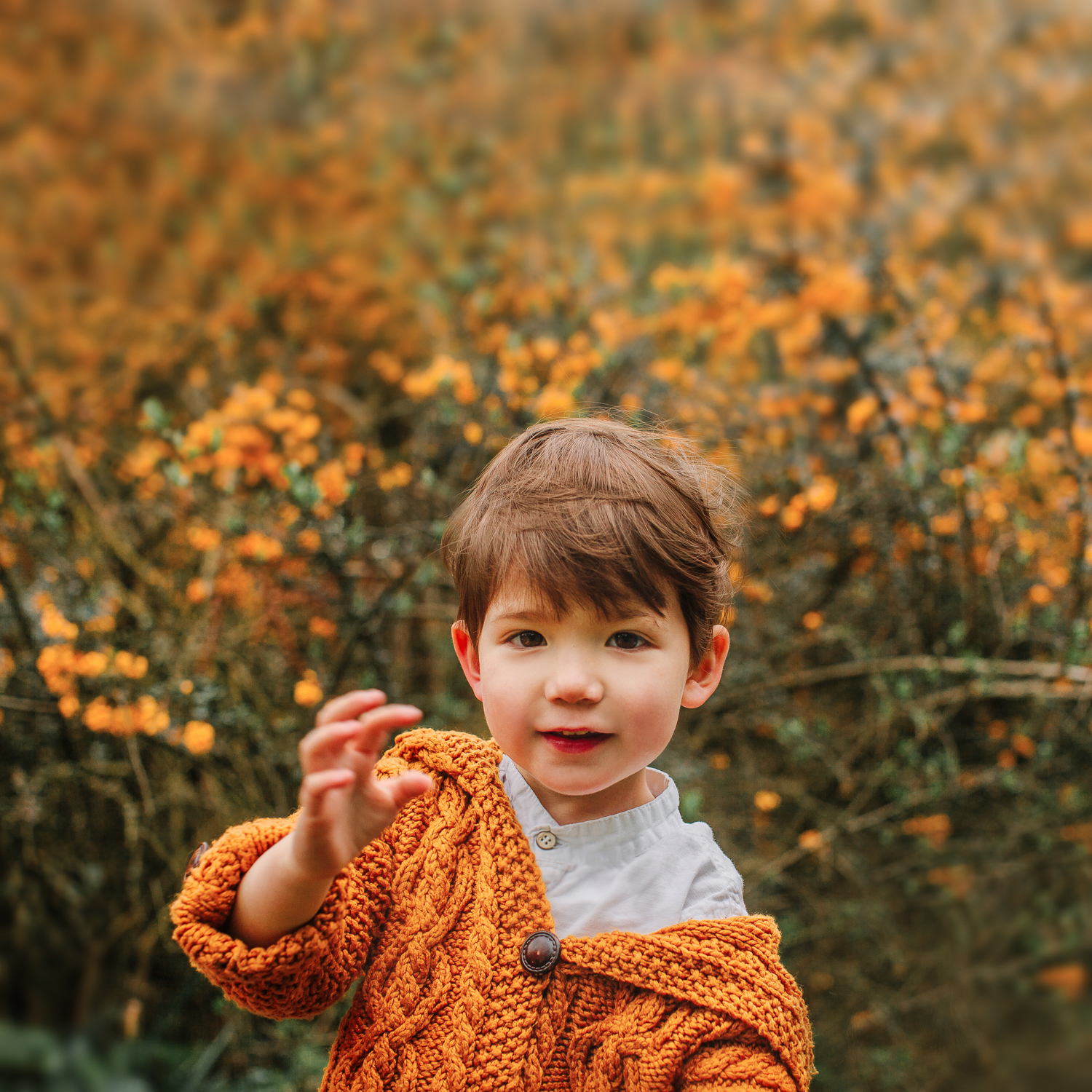 015_bristol-family-portrait-studio.jpg