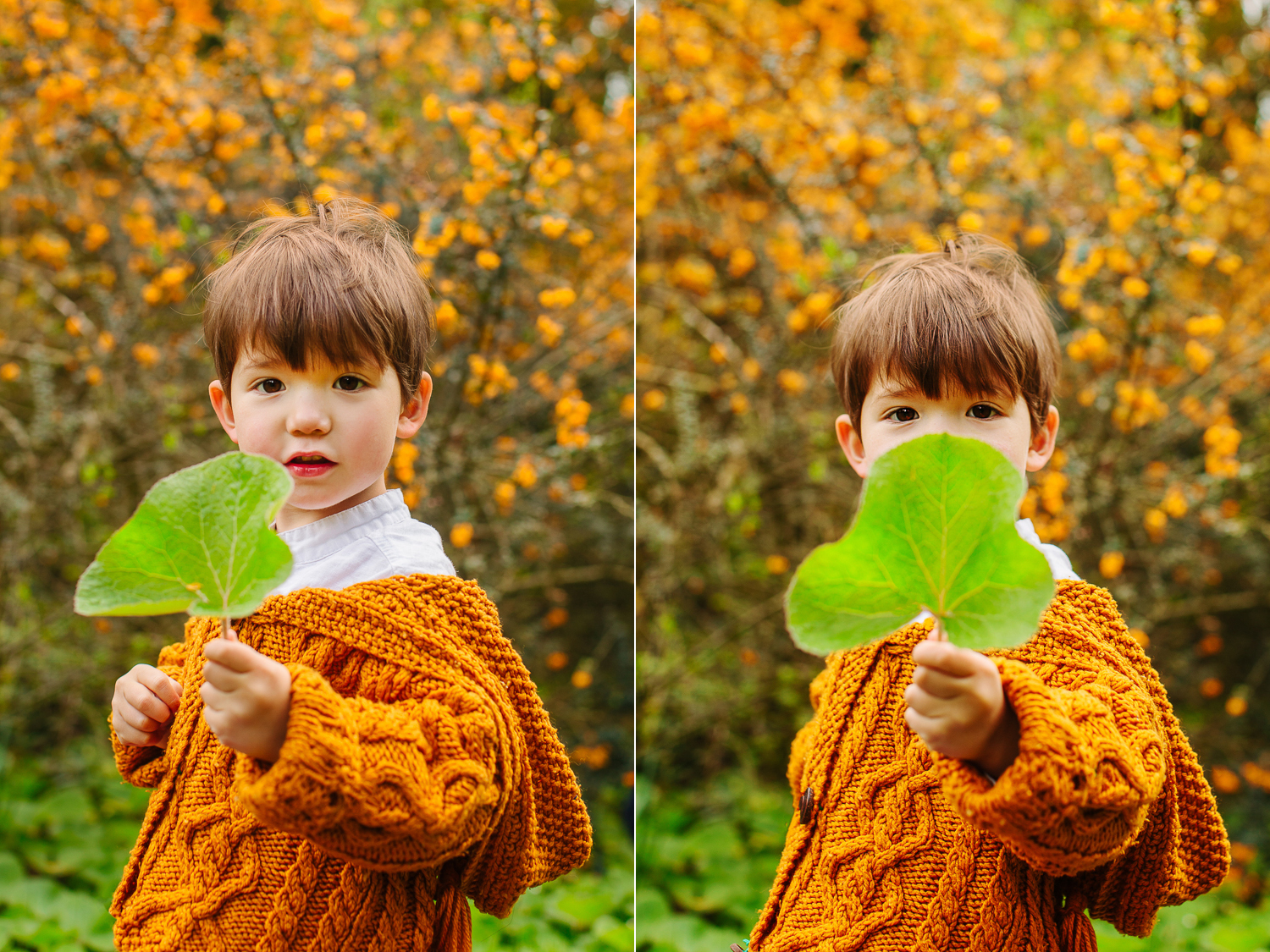 022_bristol-family-portrait-studio.jpg