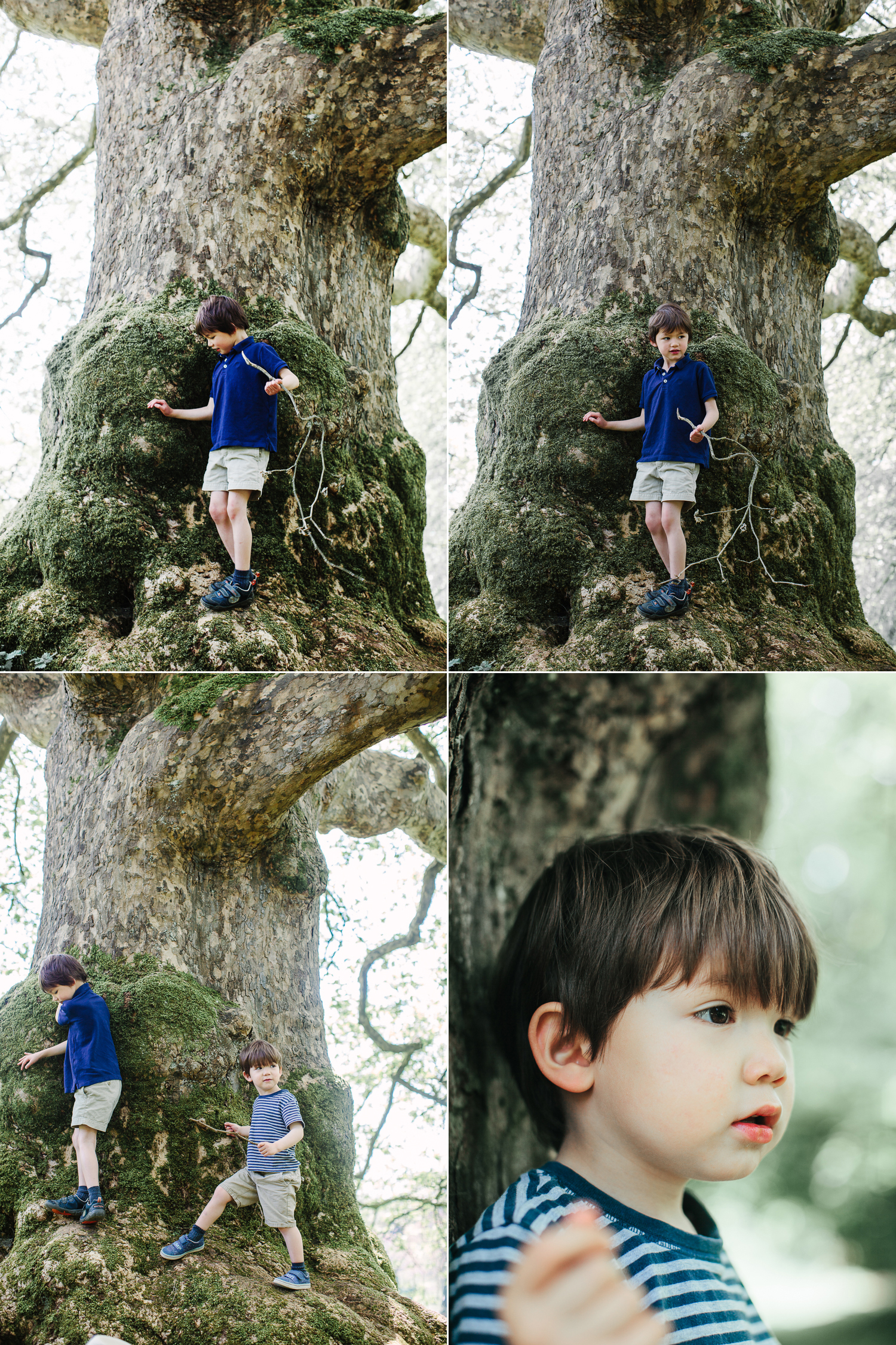 163_bristol-family-portrait-studio.jpg