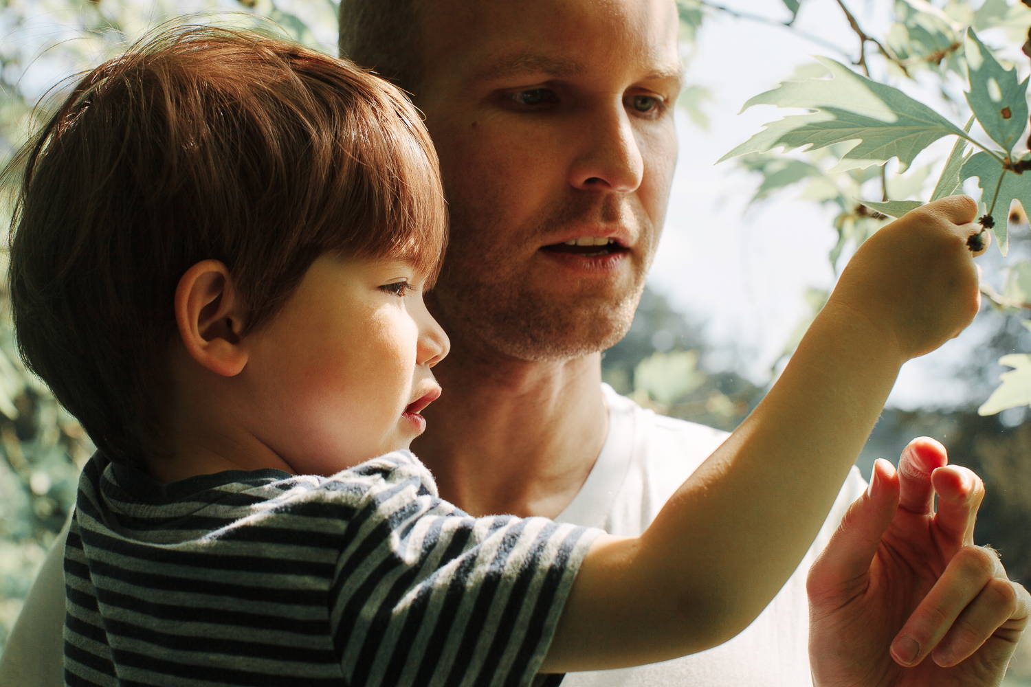 175_bristol-family-portrait-studio.jpg