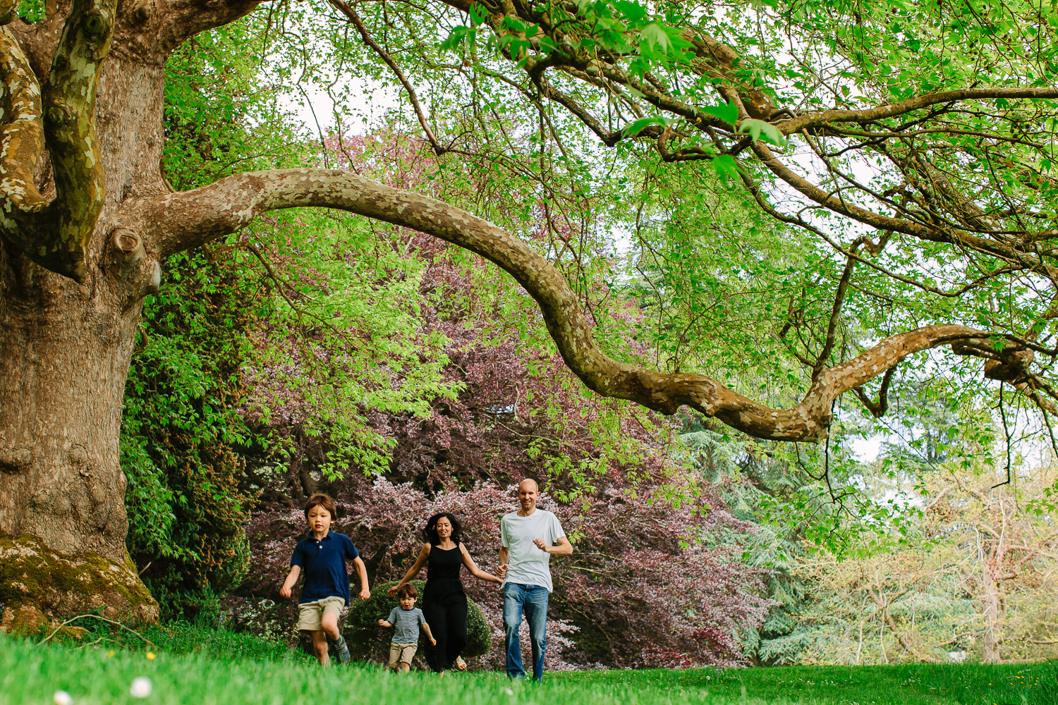 208_bristol-family-portrait-studio.jpg