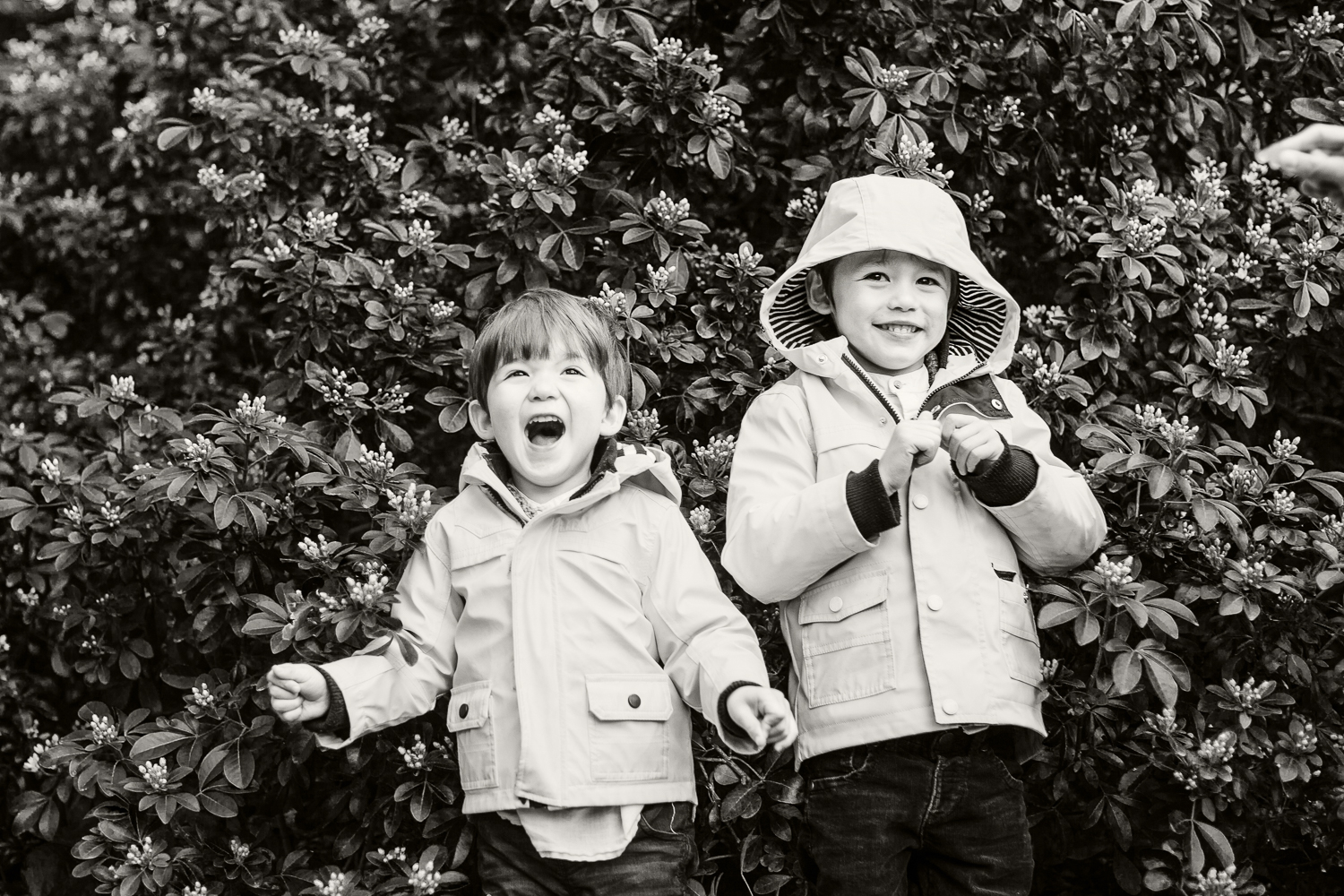 255_bristol-family-portrait-studio.jpg