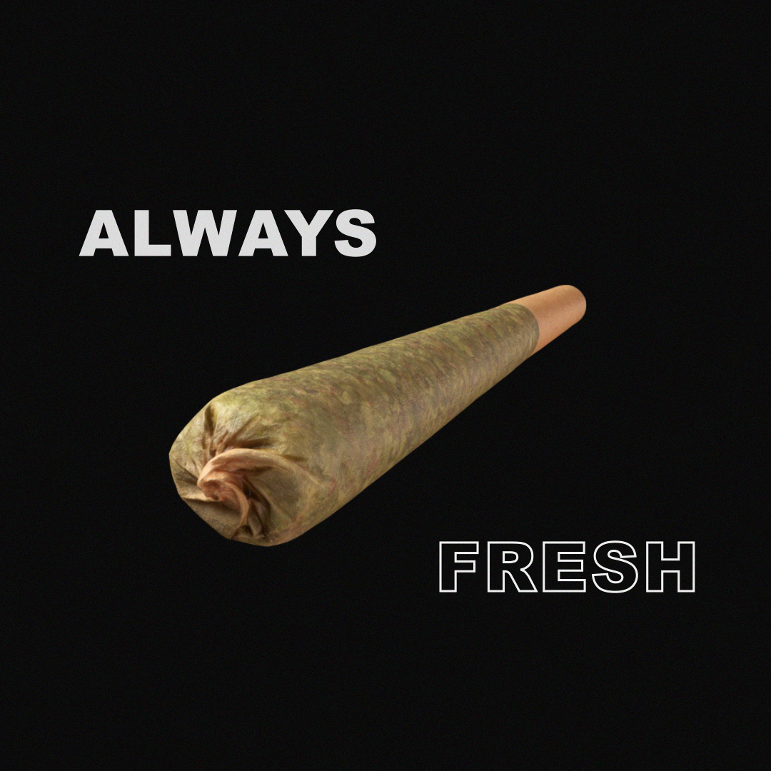 STZ_Preroll_Shot04_v008.png