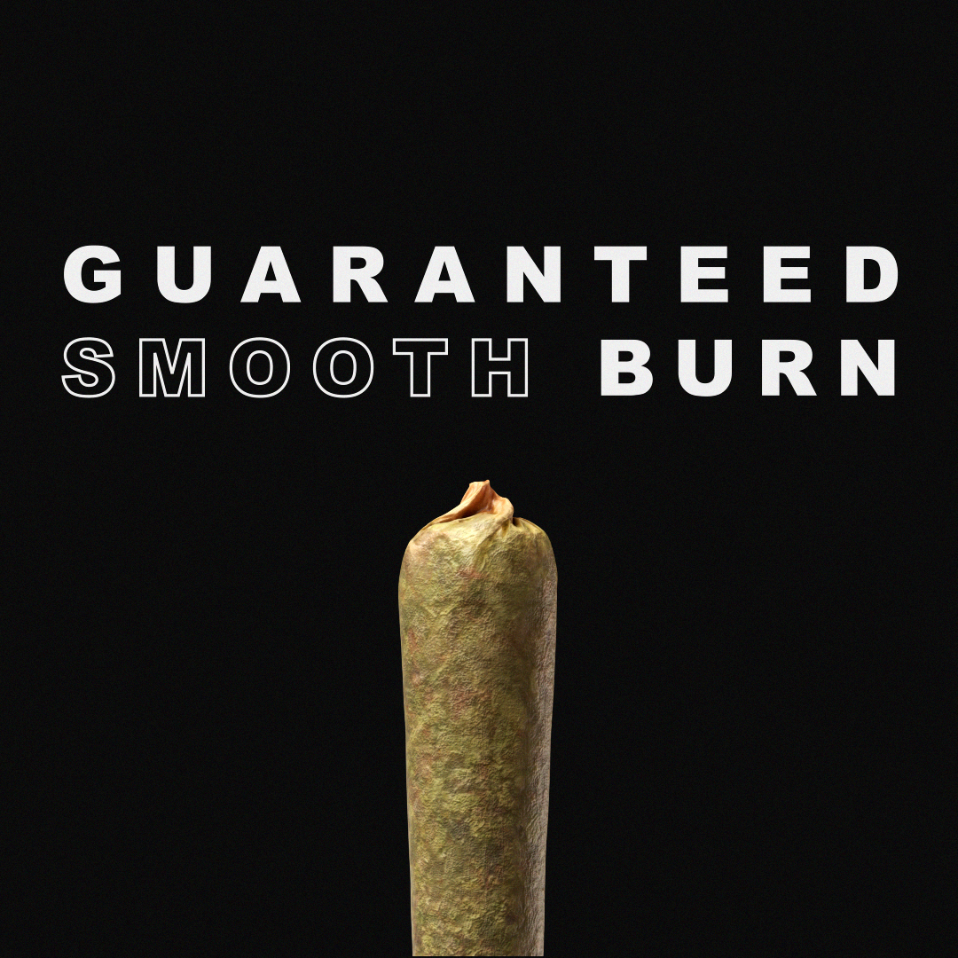STZ_Preroll_Shot02_v008.png