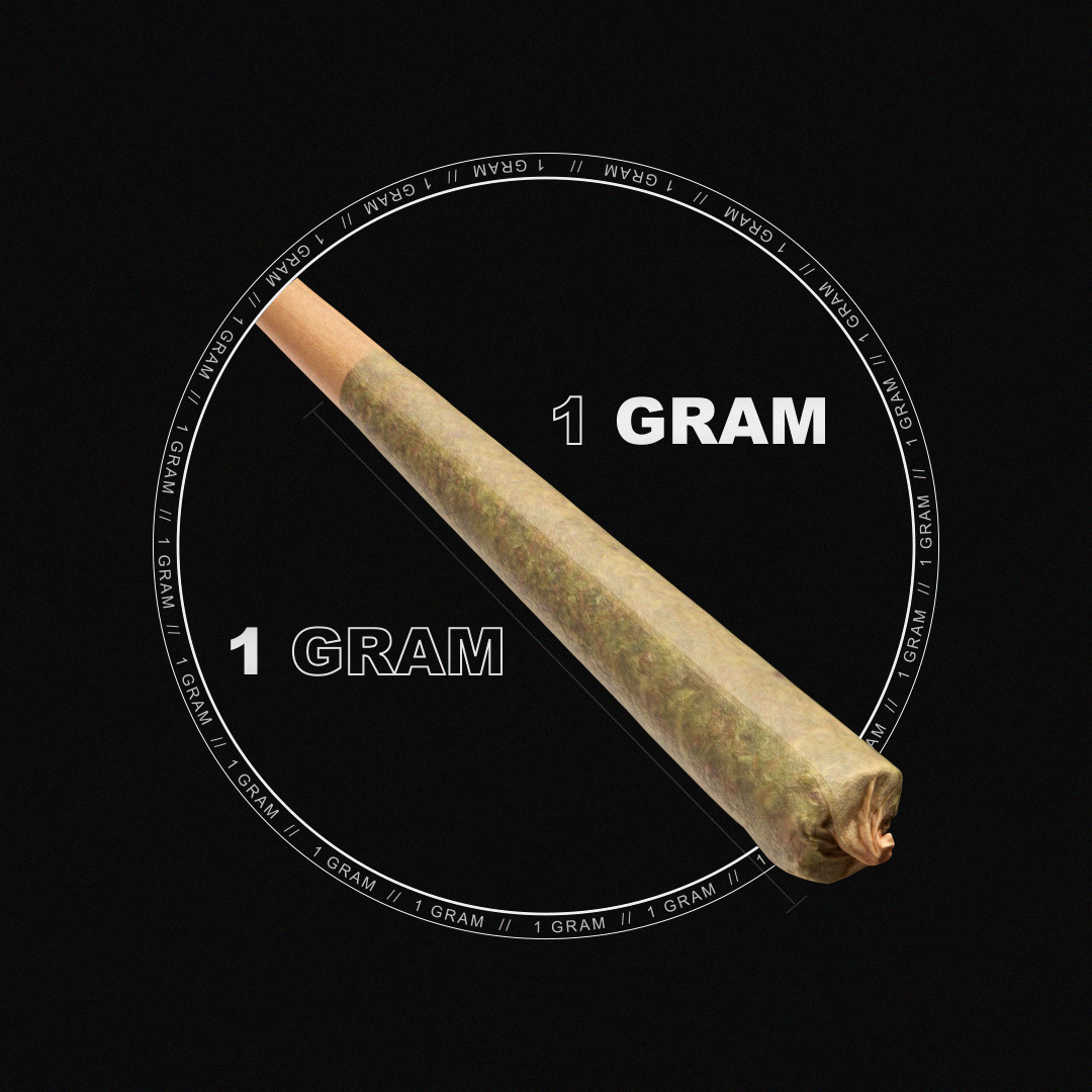 STZ_Preroll_Shot03_v007.png